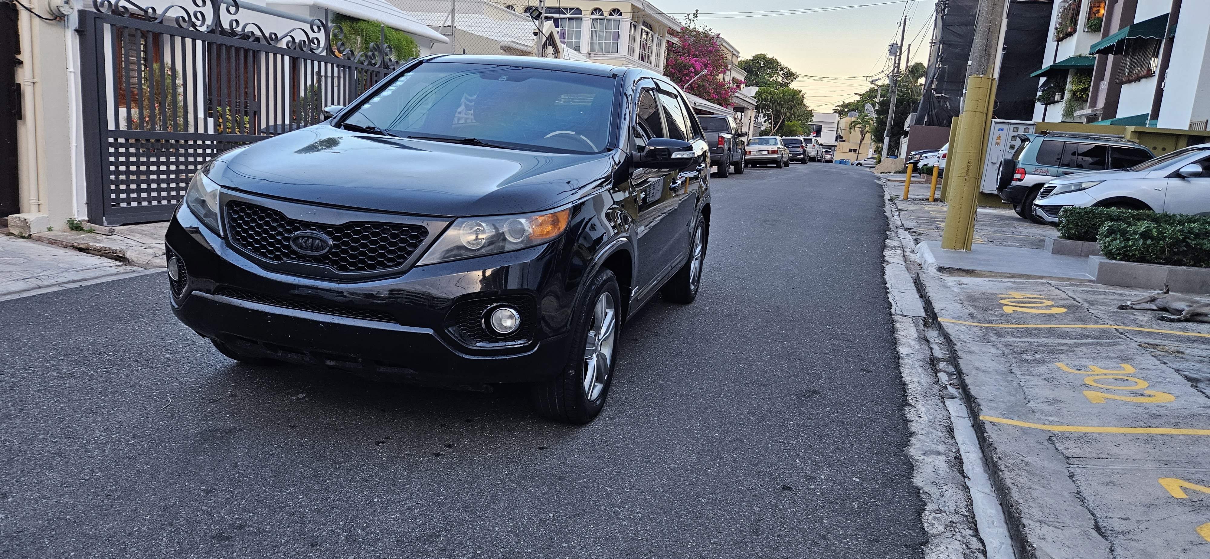 jeepetas y camionetas - Kia sorento ex Panorámica  1