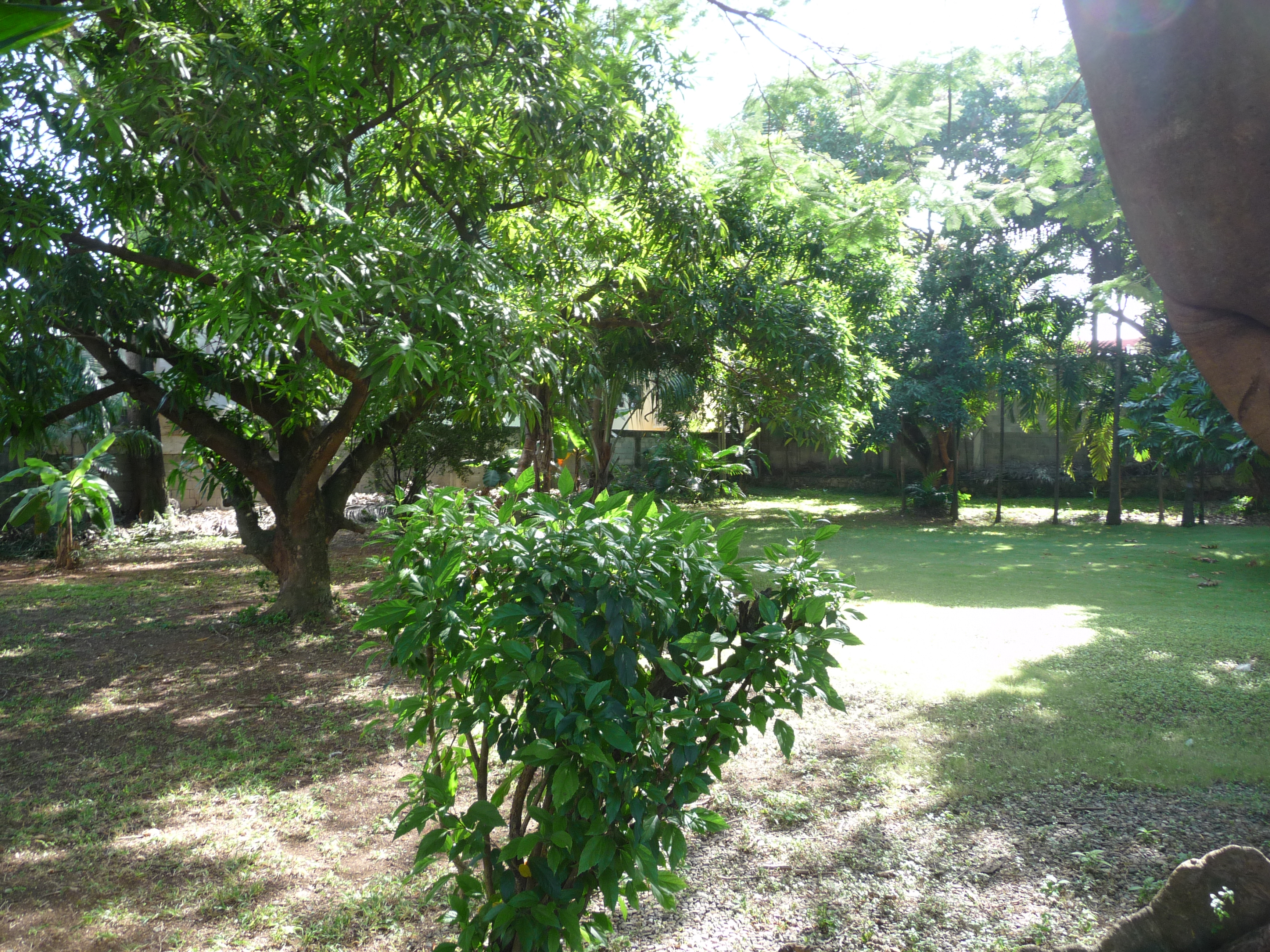 solares y terrenos - Solar venta La Esperilla 3
