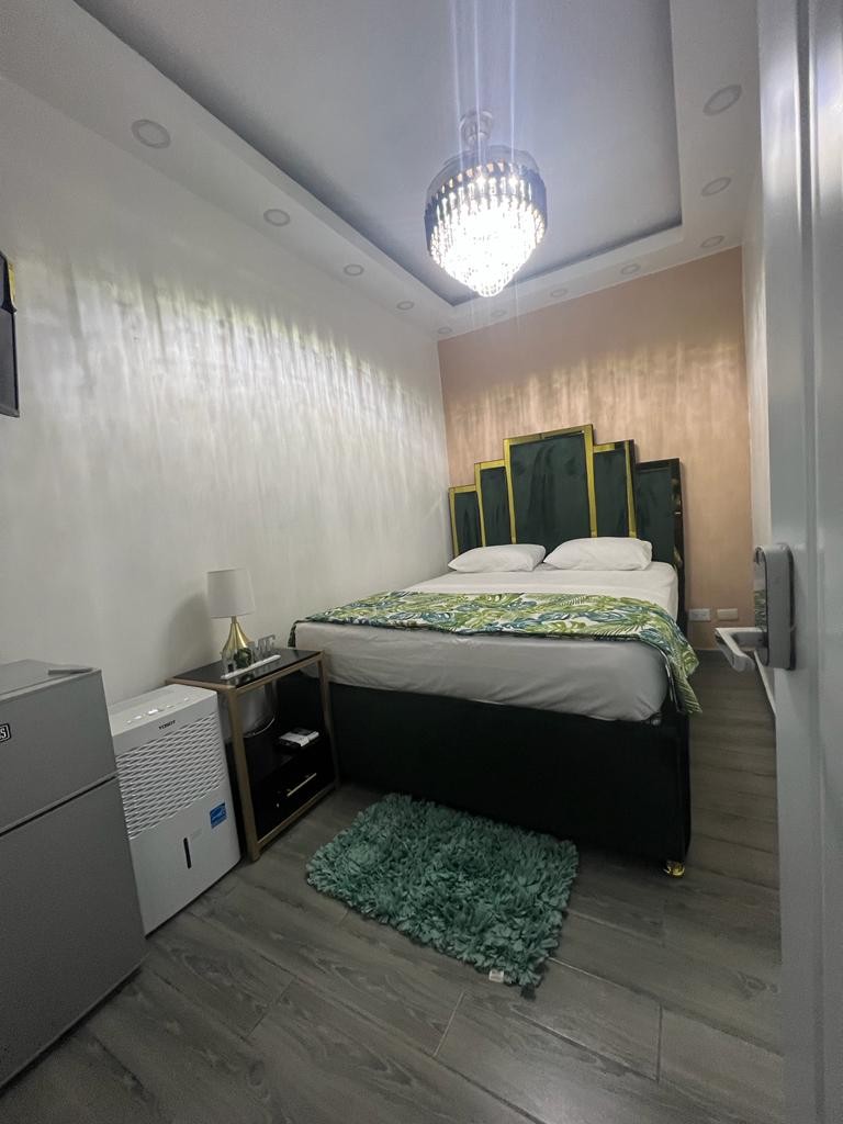 apartamentos - Propiedad comercial en venta, ubicada en Ciudad Nueva, Santo Domingo 4