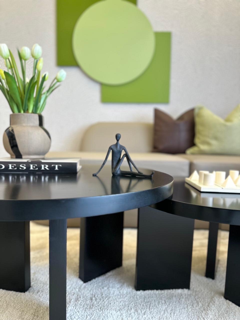 apartamentos - Pisl alto de renta amueblada en La Esmeralda, Santiago 0