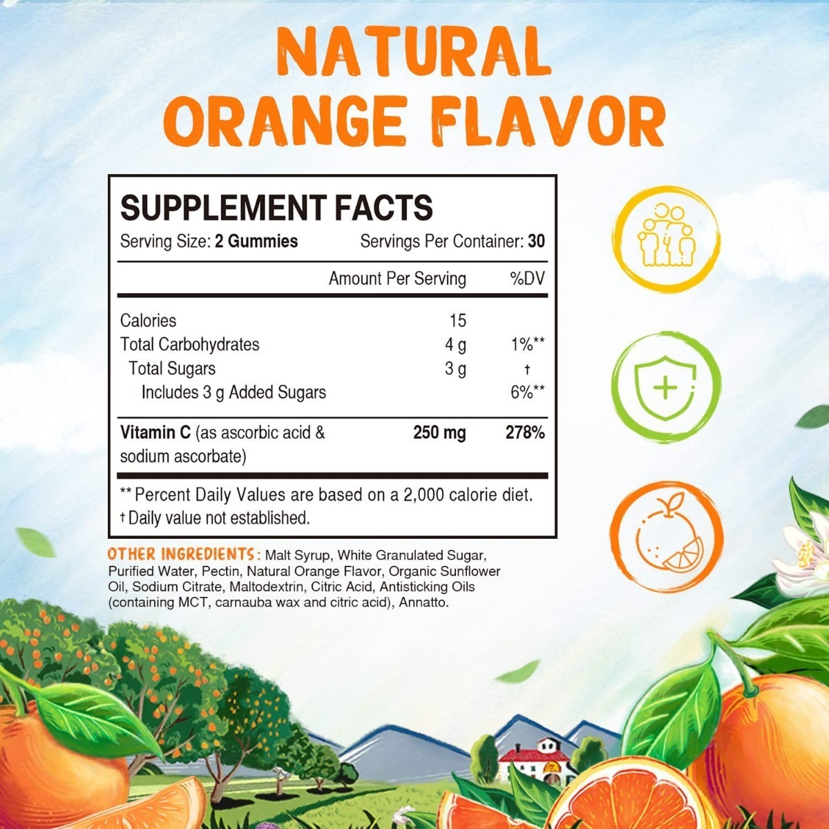 Salud y Equipamiento Médico - Vitamina C Vitalitown 60 Gum - Uni - Unidad A $2792 1