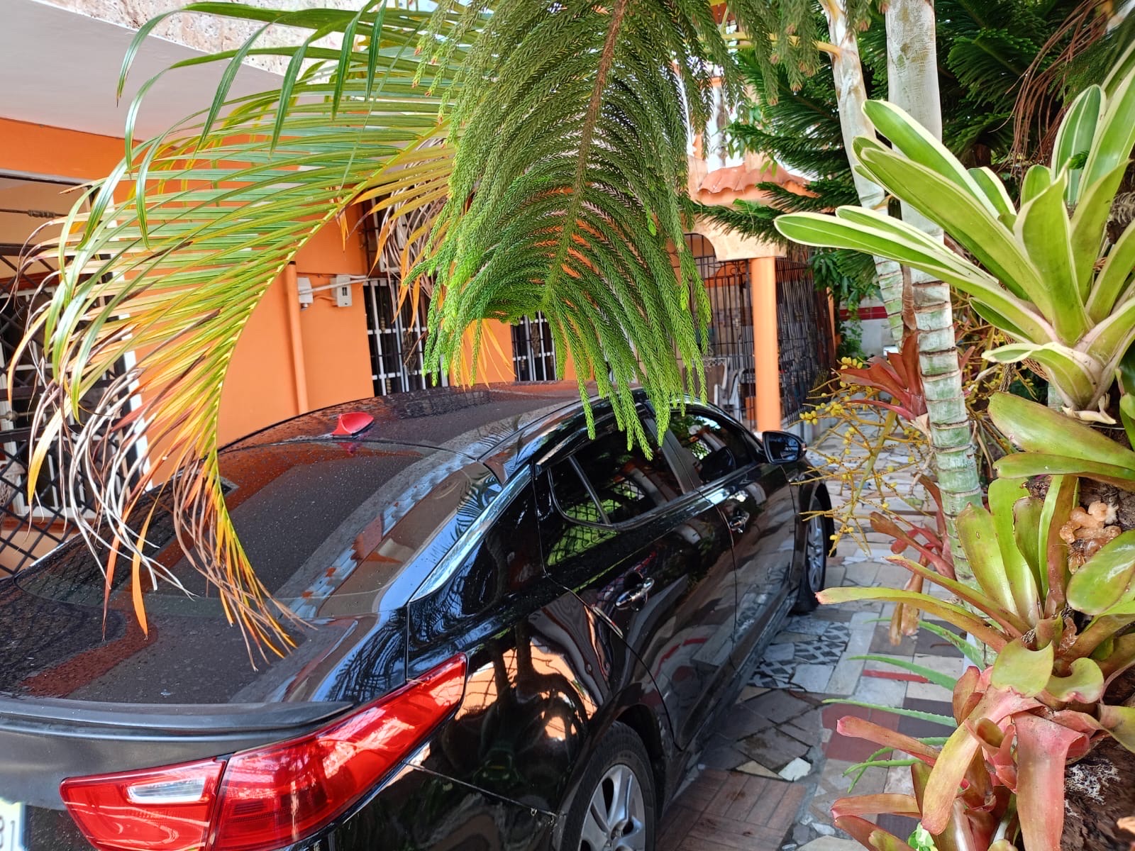 carros - Kia Optima 2015 Gasolina (Traspaso) 0