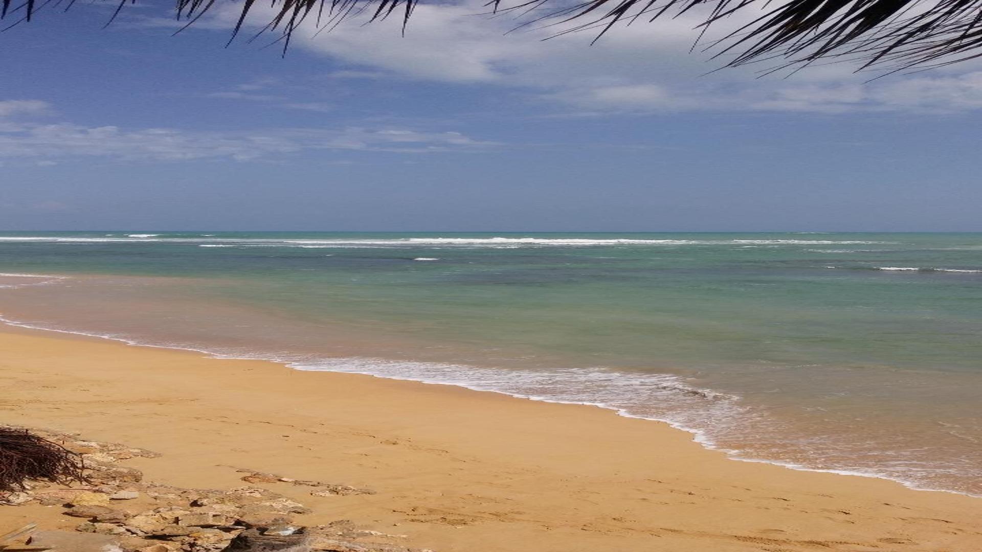 solares y terrenos - VENDO en primera linea de playa, Uvero Alto 0