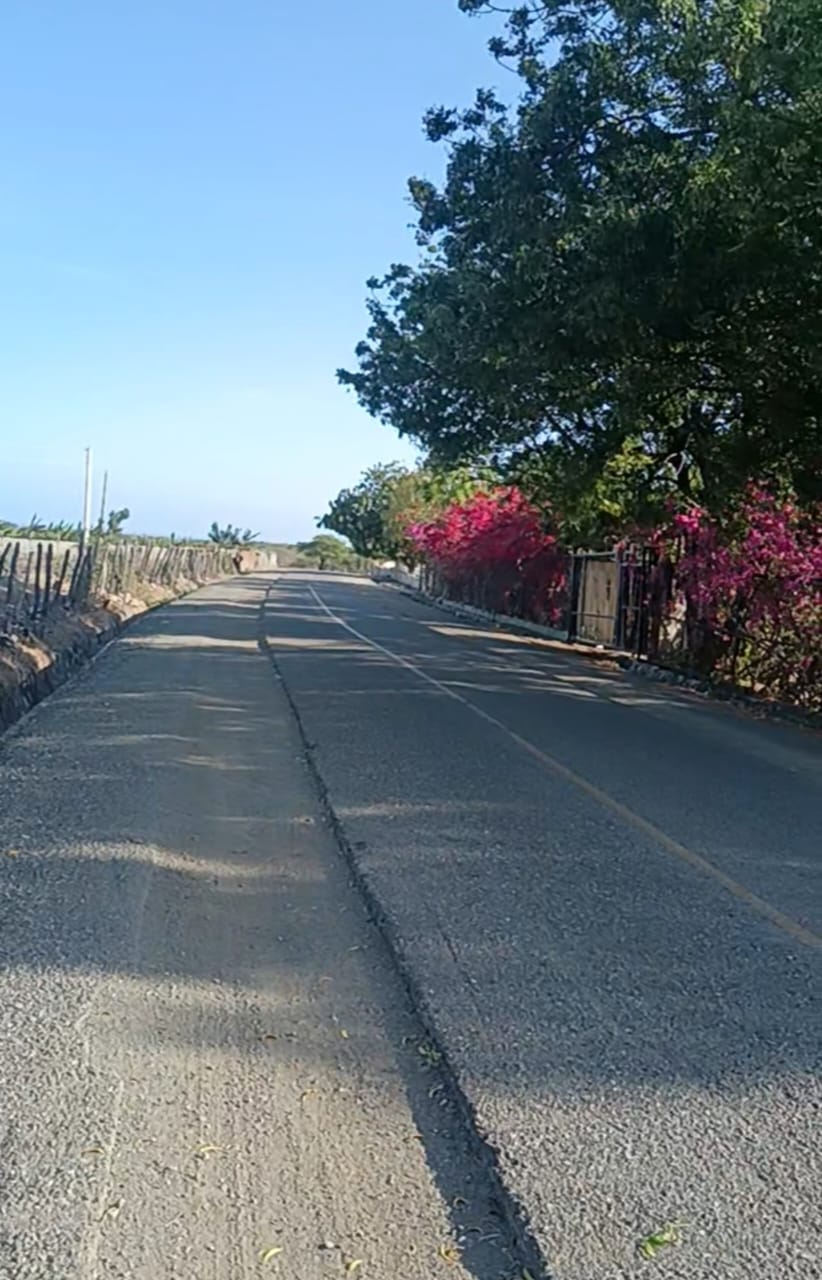 solares y terrenos - MATANZAS DE BANI, VENDO ESTA FINCA 53 TAREAS 2