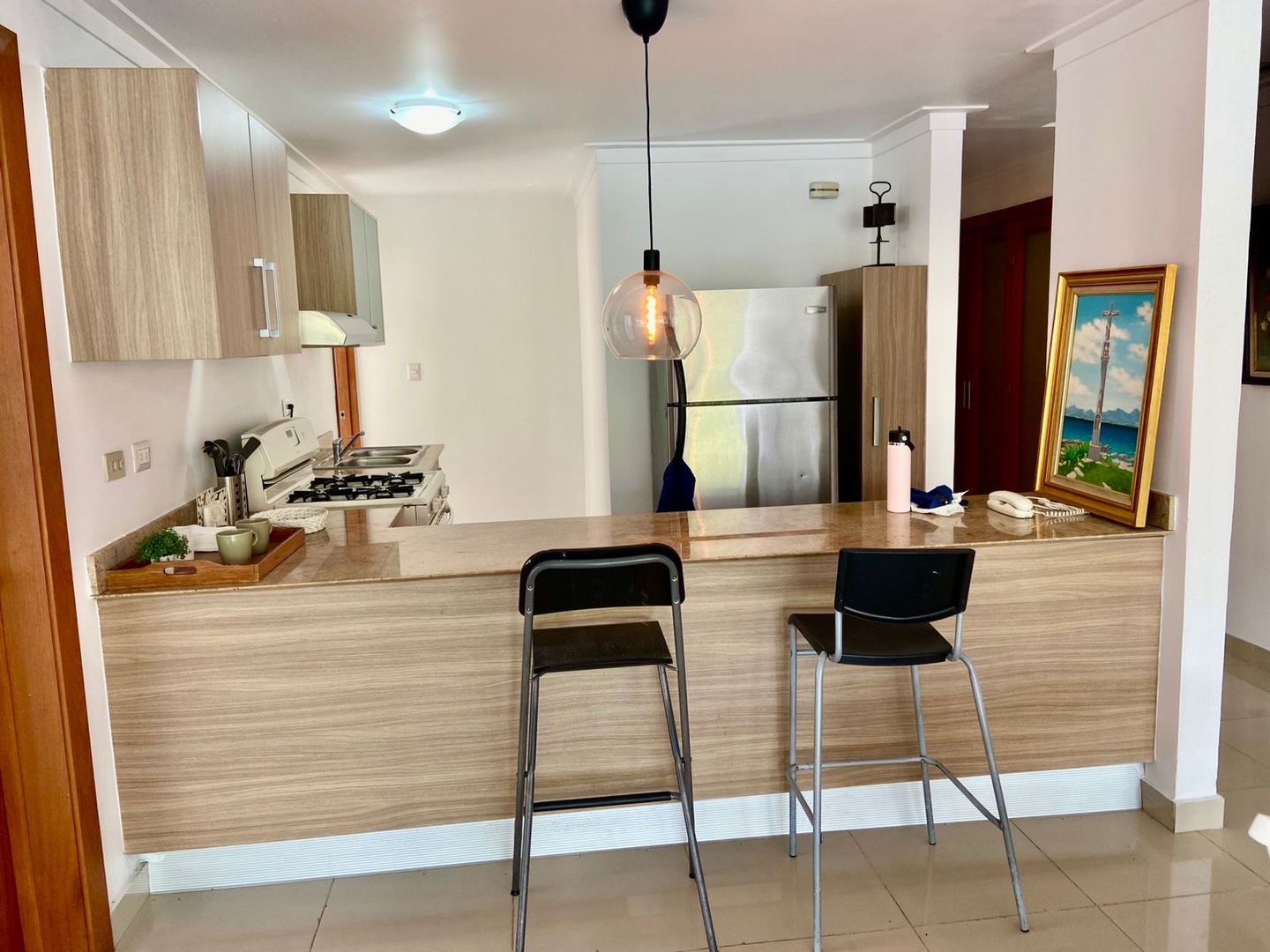 apartamentos - Amueblado totalmente apartamento en La Esperilla  5