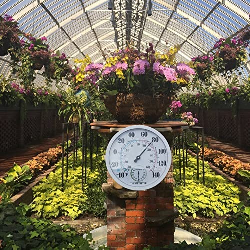herramientas, jardines y exterior - Termómetro e higrómetro, no necesita batería, LayscoPro 1