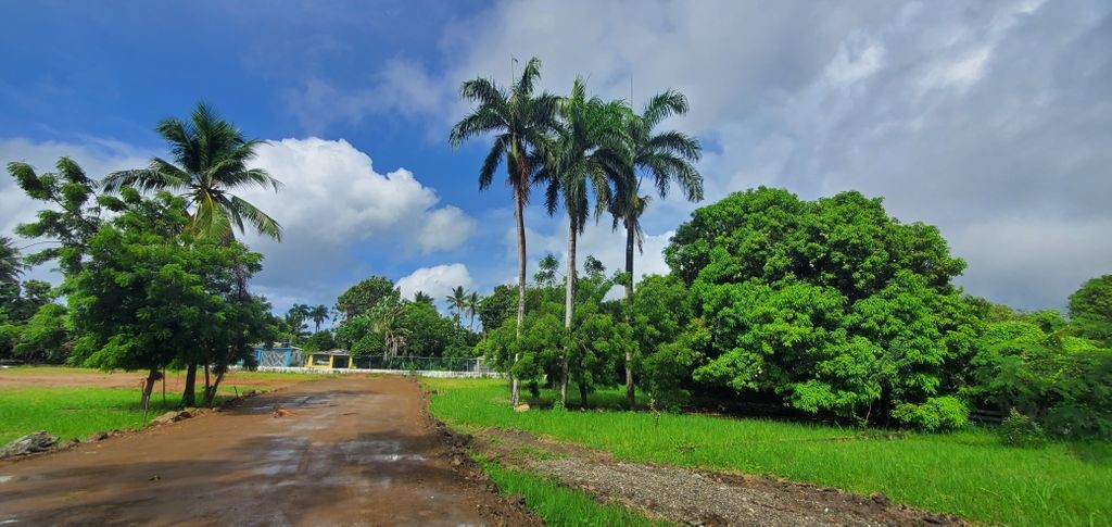 solares y terrenos - Solares en venta cerca de la playa Maimón Puerto Plata 0