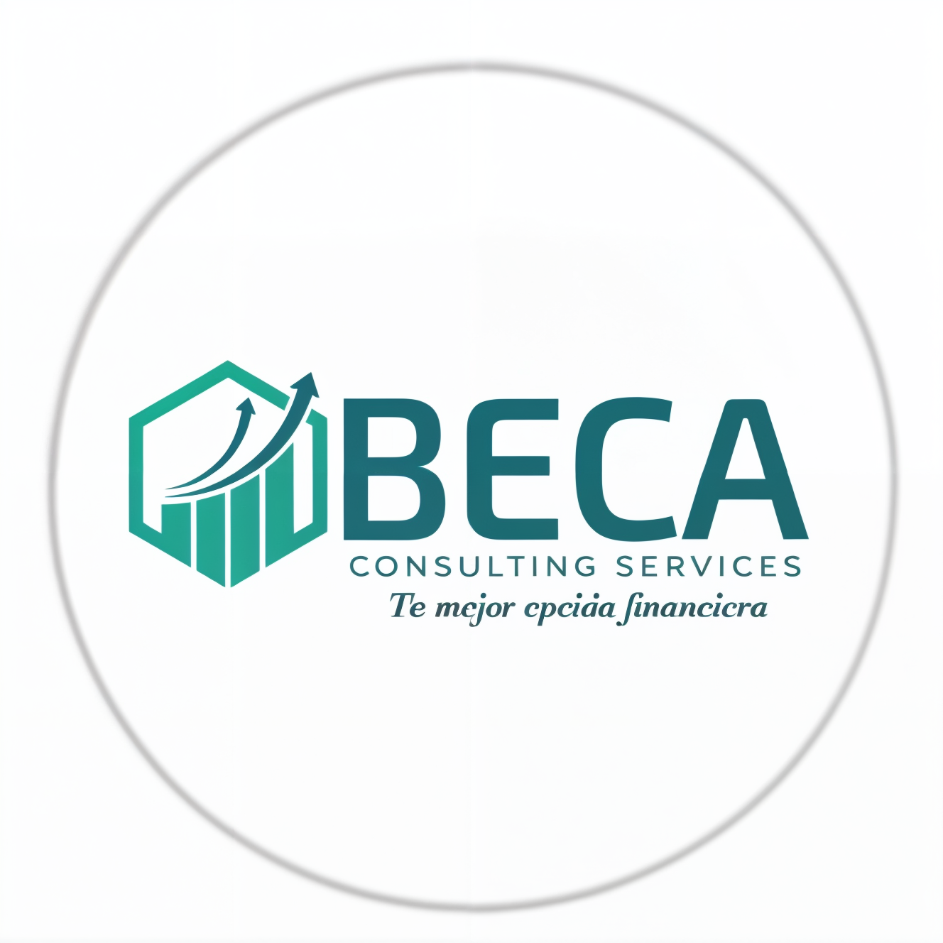 servicios profesionales - Contabilidad General 4