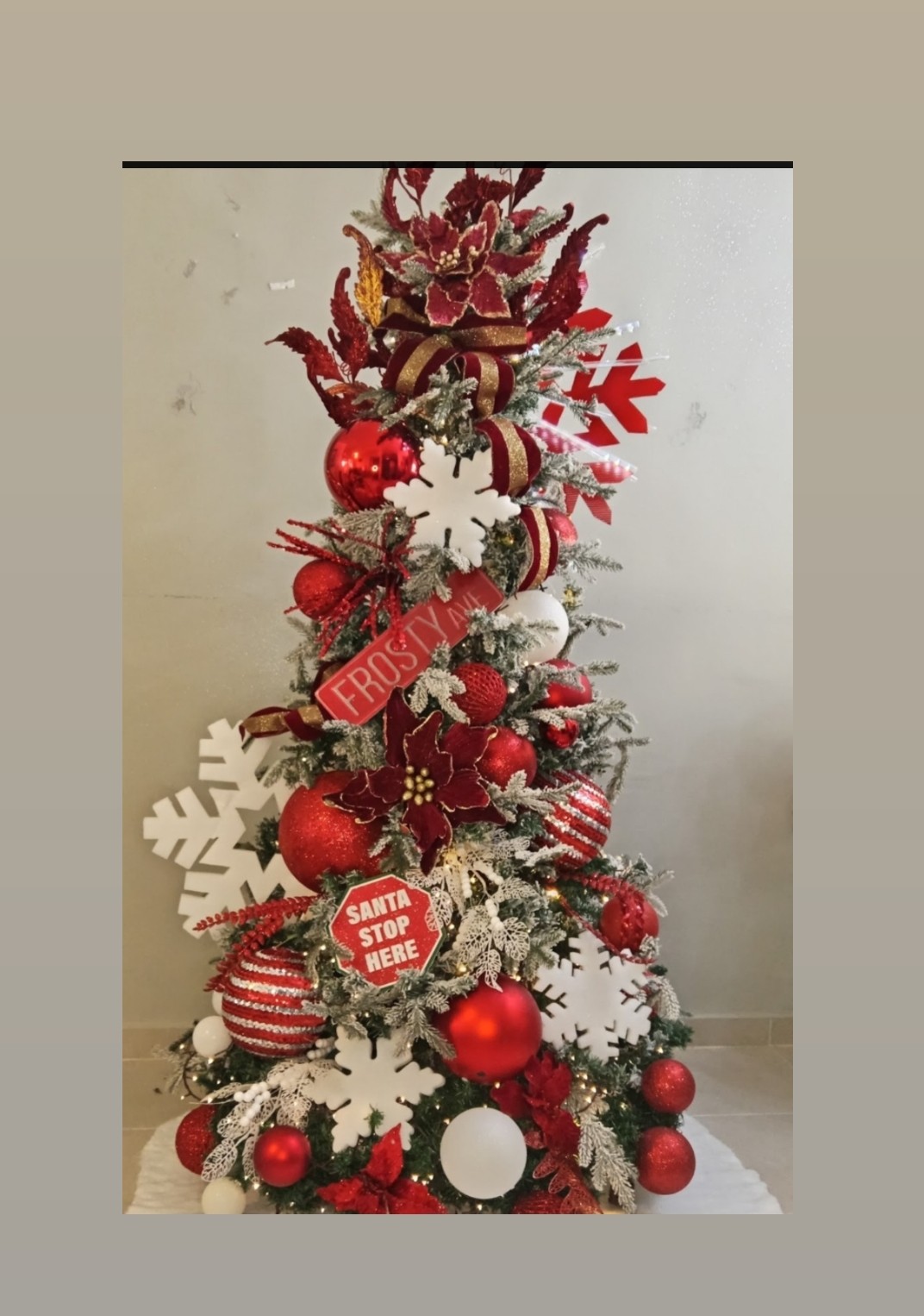 servicios profesionales - Alquiler de Arbol de Navidad  8