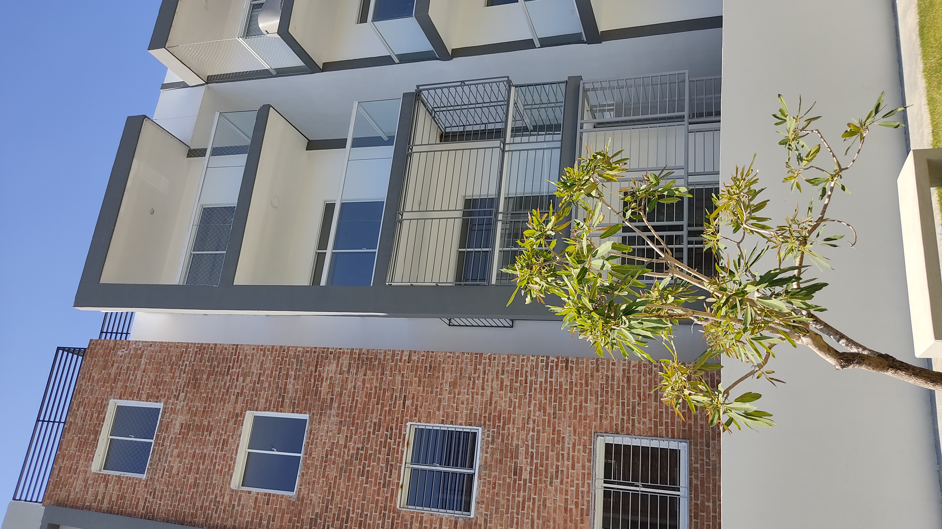 apartamentos - Alquilo apartamento Jacobo majluta  0