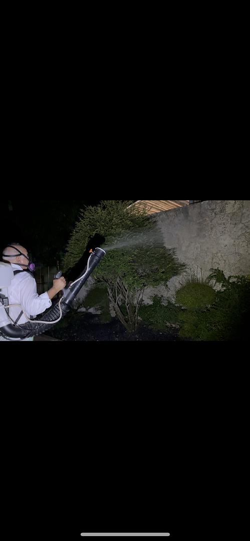 servicios profesionales - 🚫🐀 Fumigacion y control de plagas 24/7 🏠 Santo Domingo – ¡Llámanos ya! 2
