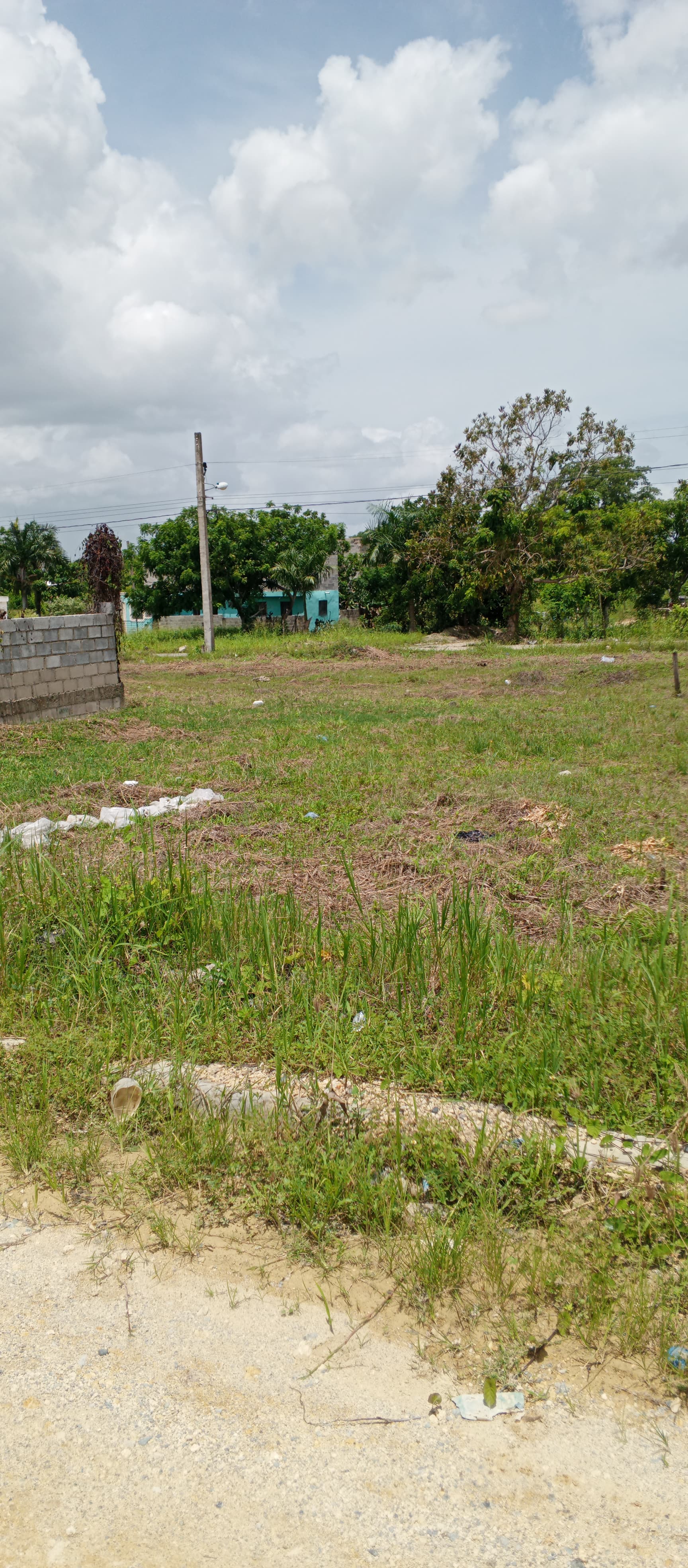 solares y terrenos - Solares en Venta - Con sus titulos - Desde 151m 7