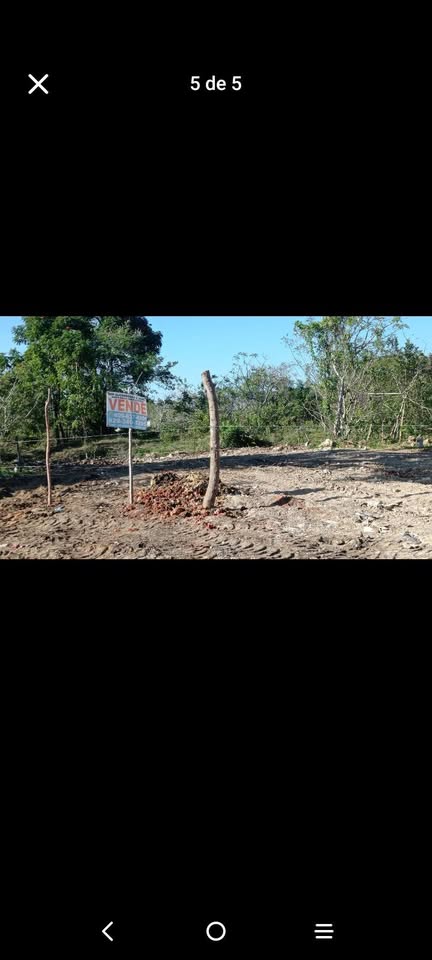 solares y terrenos - Se vende Solares San luis Caña linda 1