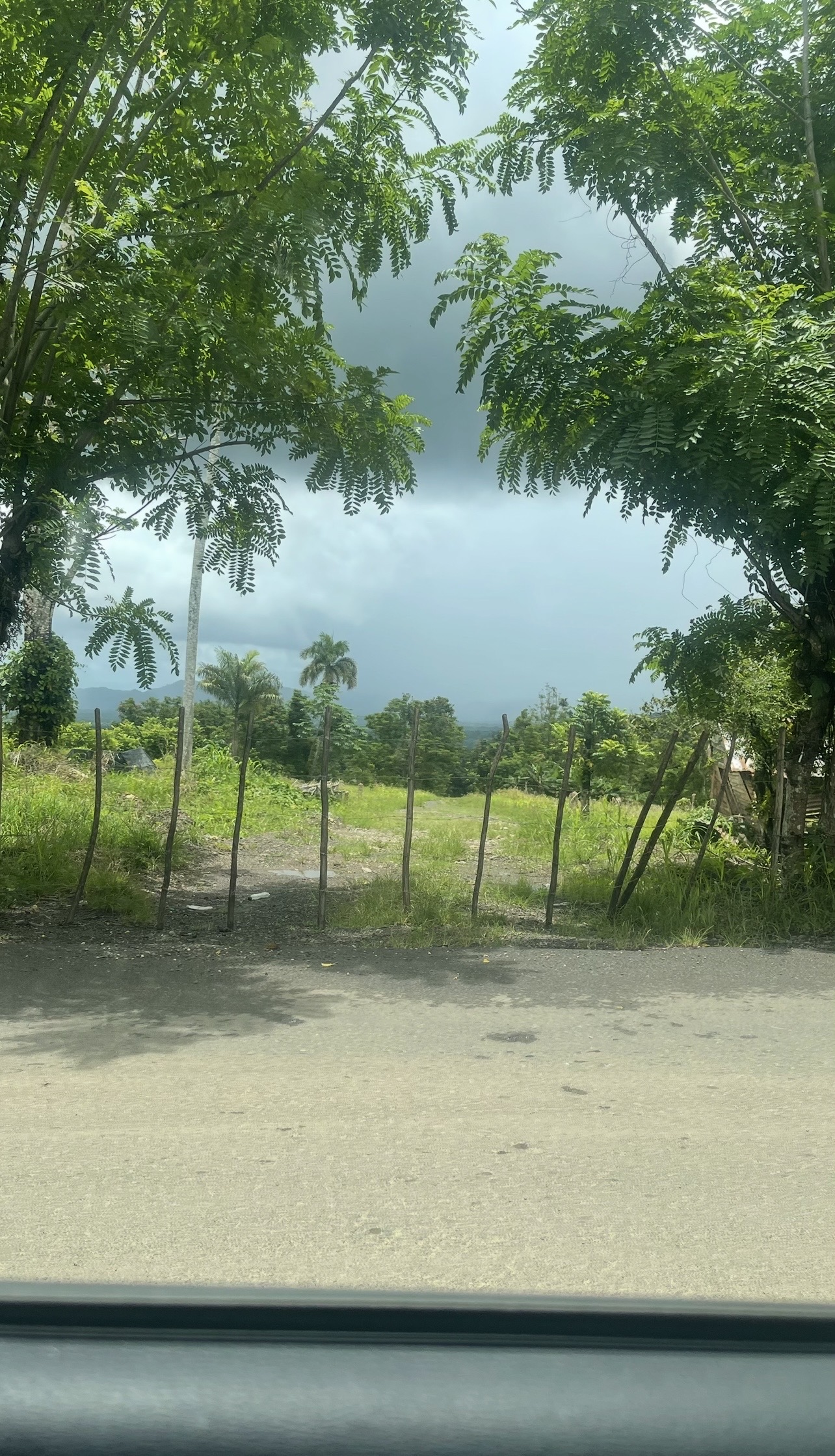 solares y terrenos - Terreno En Venta 65,401.40 M2 En El Valle 4