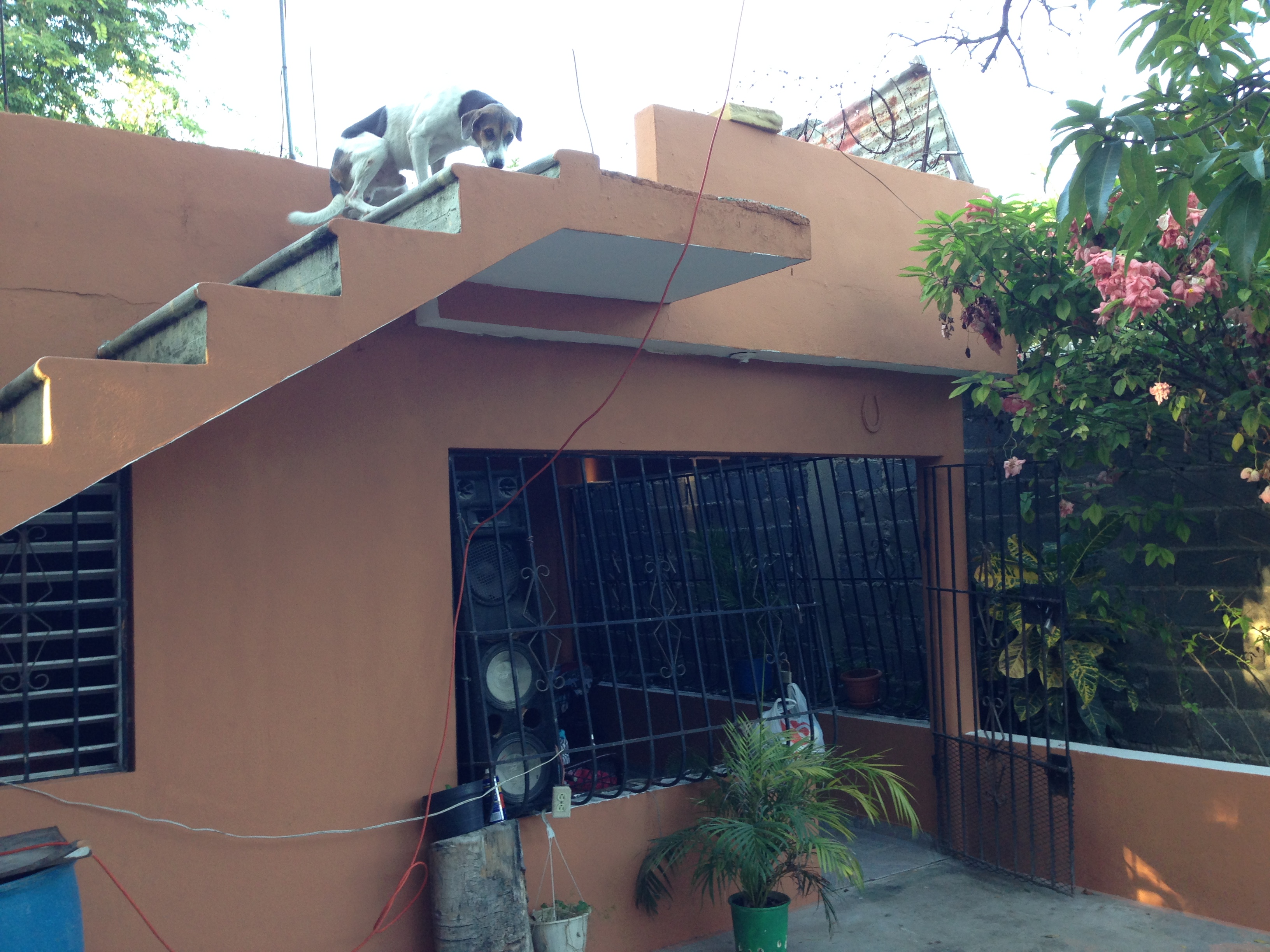 casas - Casa grande 550m Boca Chica 1