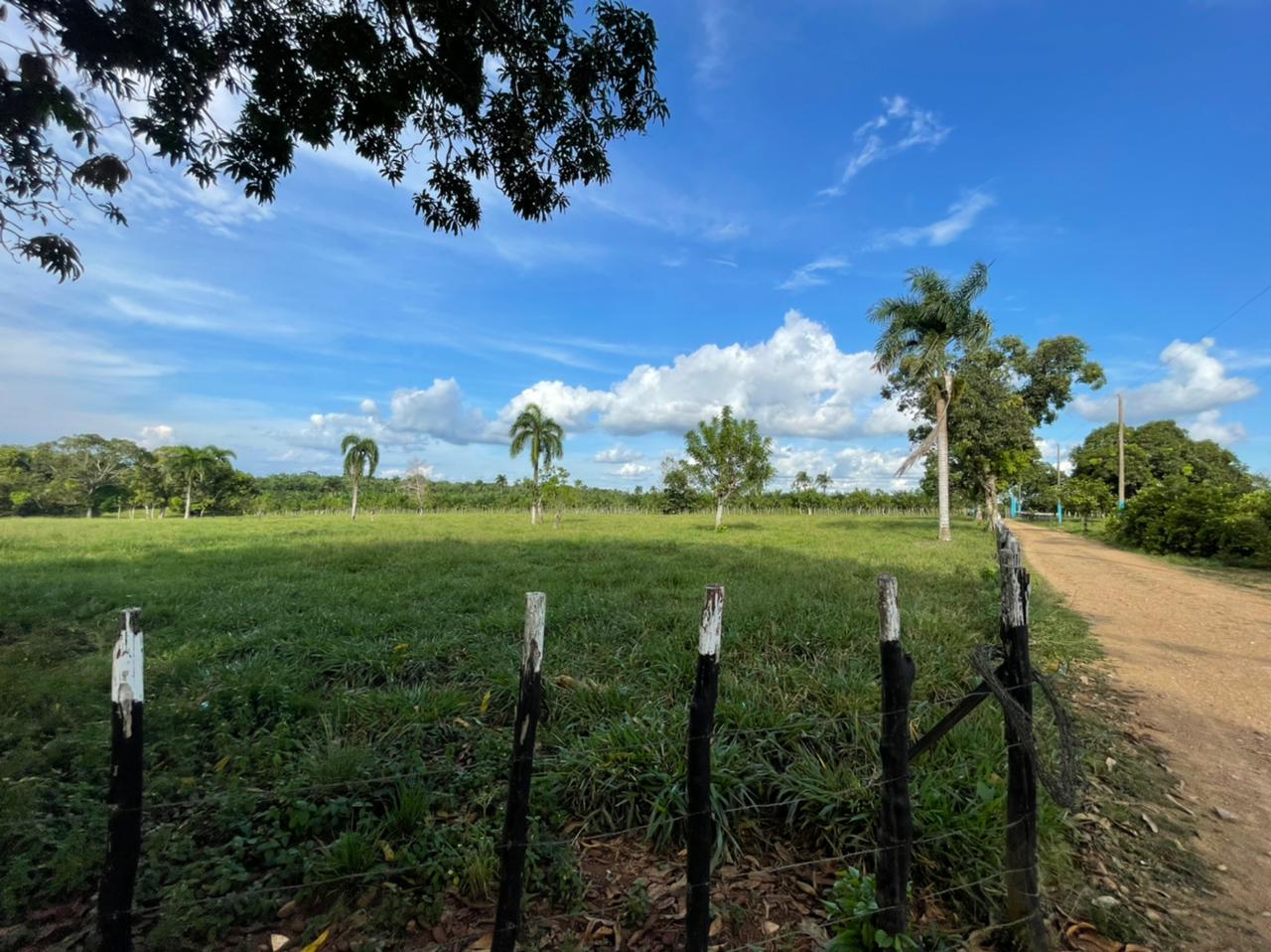 solares y terrenos - Finca Ganadera en Bayaguana de 855 tareas  9