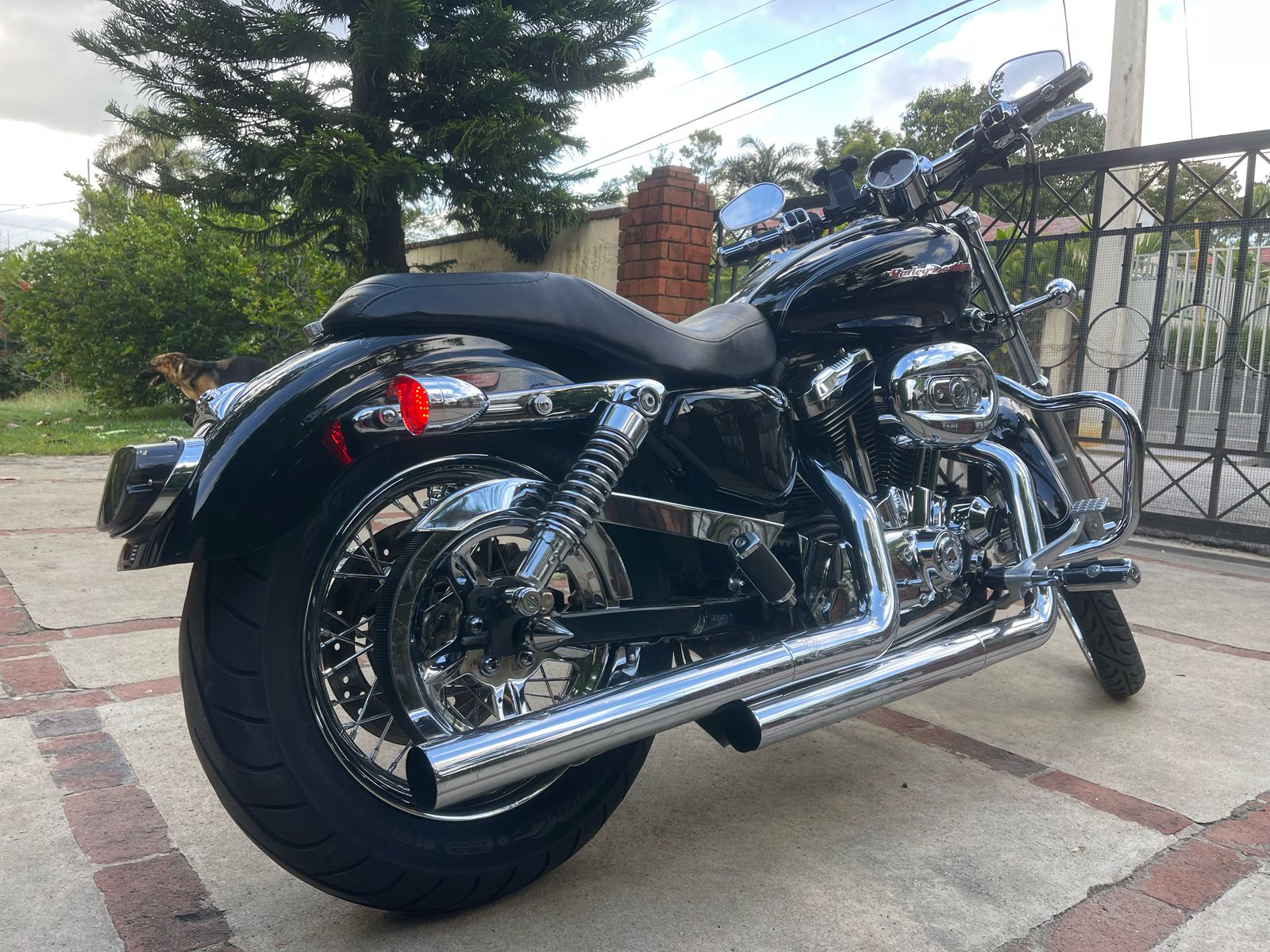 motores y pasolas - Harley Davidson Sporster XLC  1