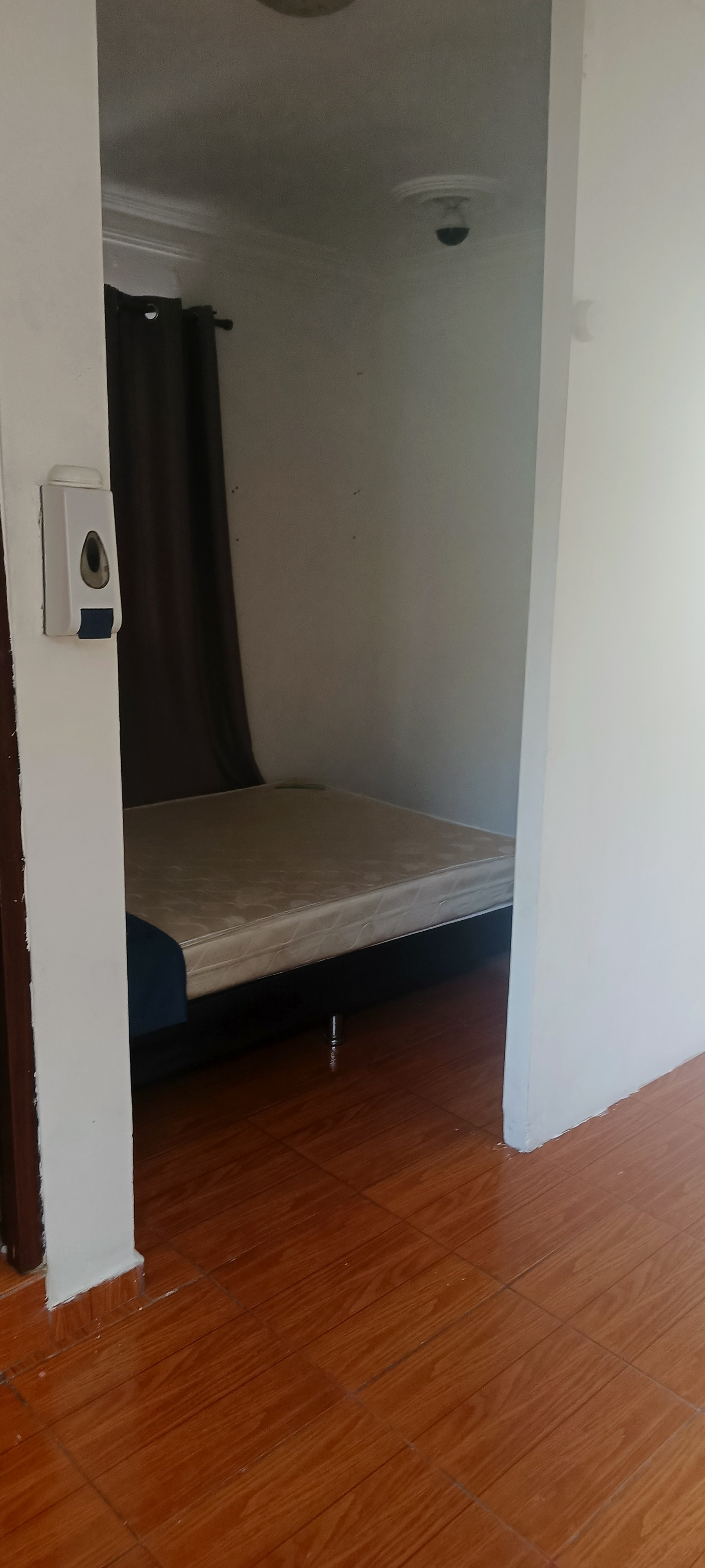 apartamentos - Alquiler aparta estudio semi amueblado. 4