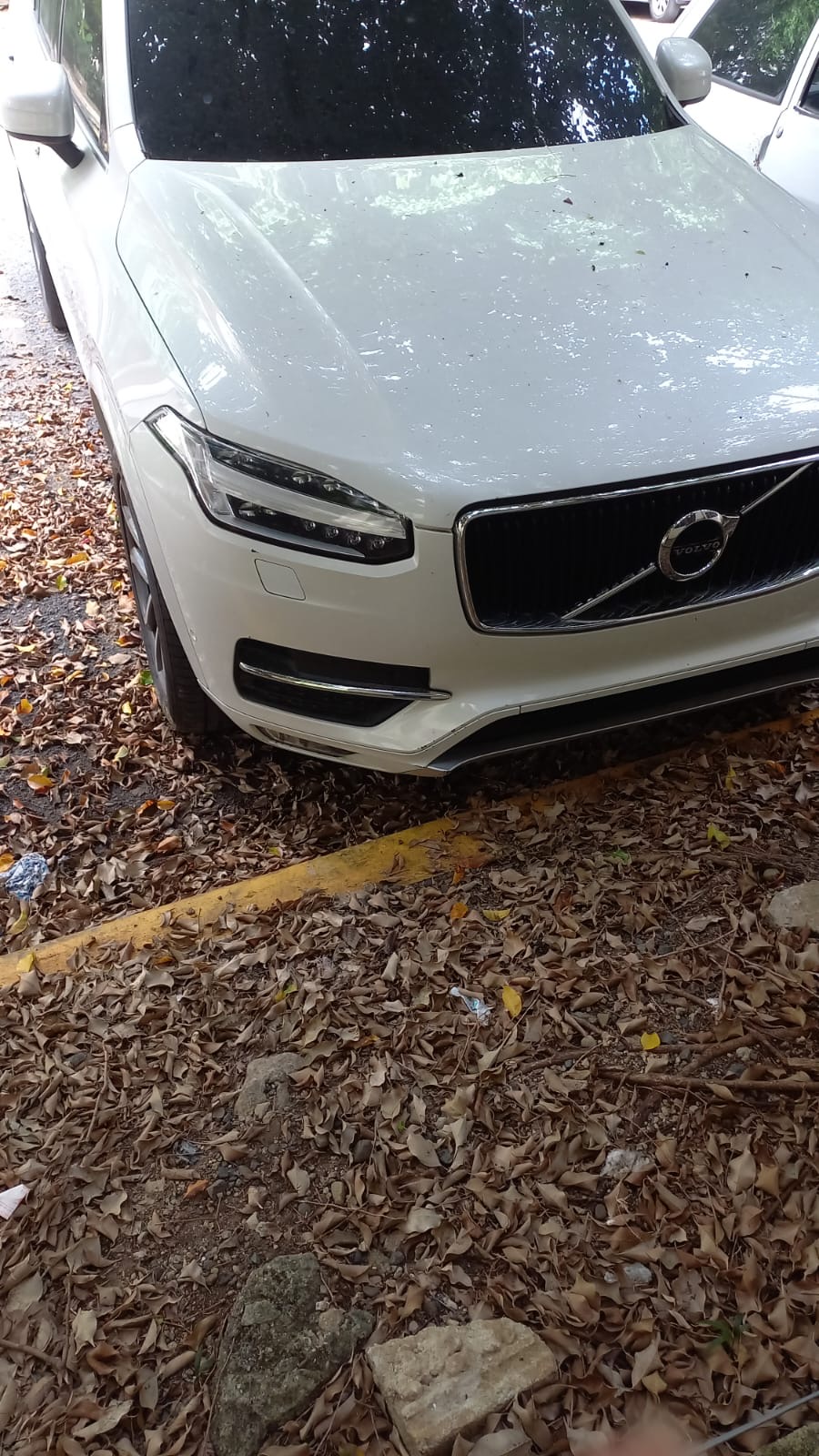 jeepetas y camionetas - Vendo Volvo 2017 5
