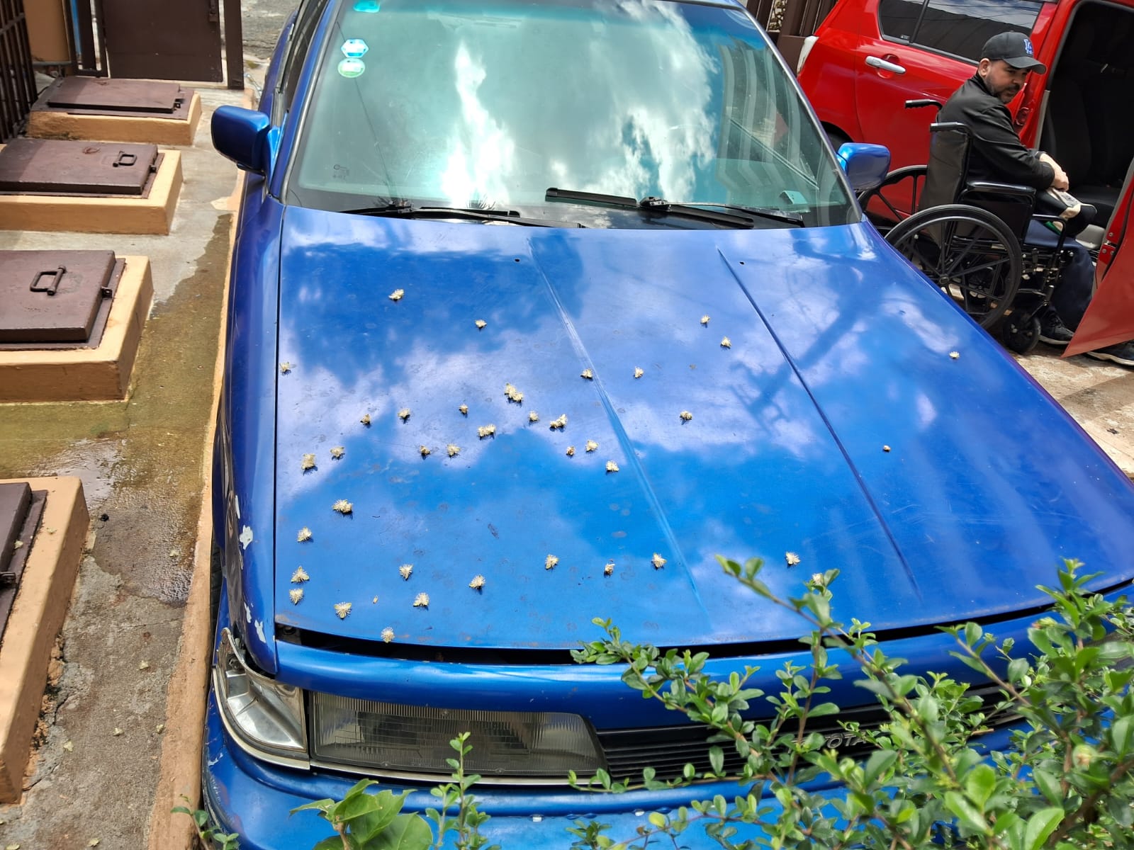 carros - 60 mil Camry 88 - Azul aros 17 9