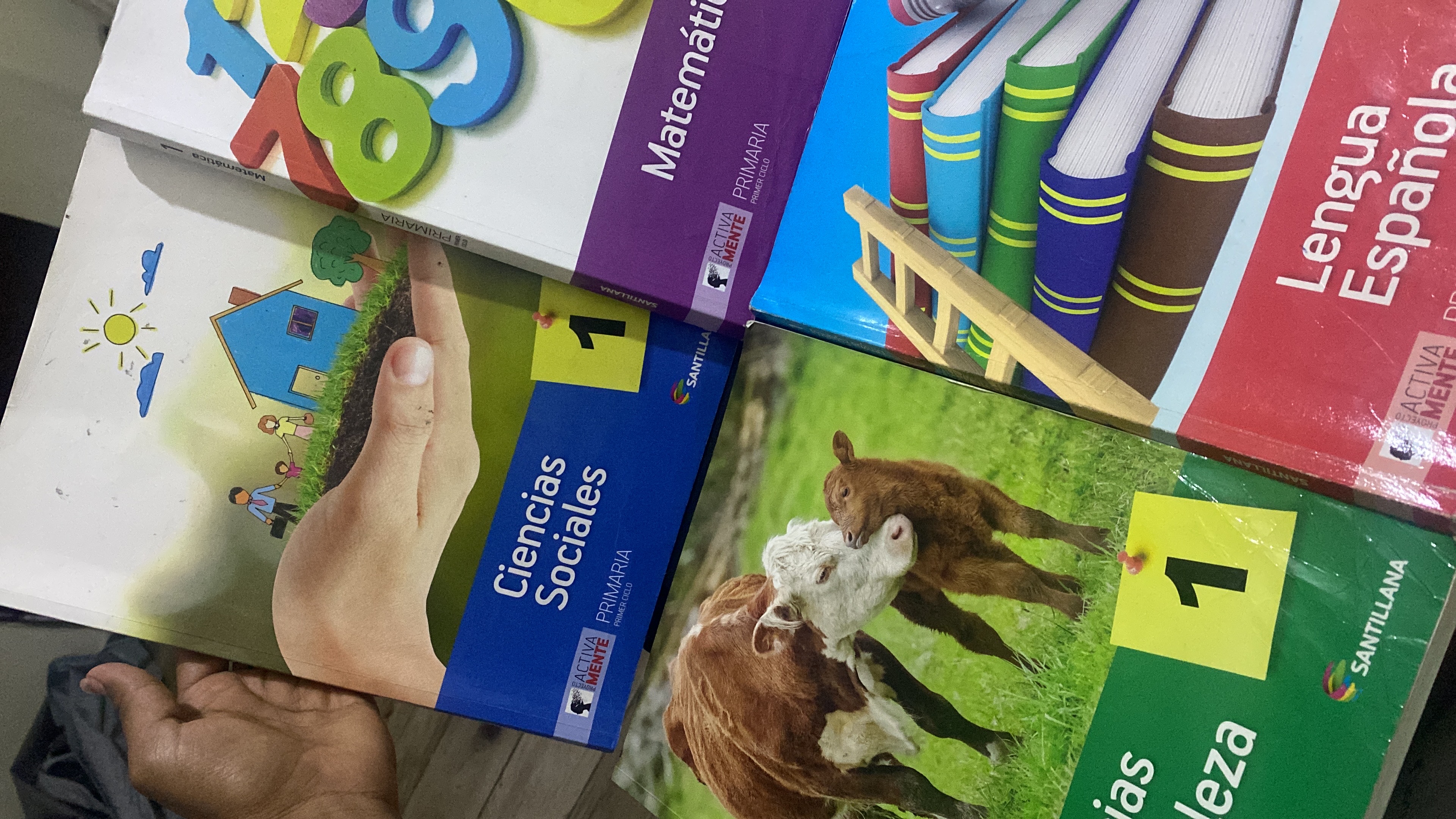 libros y revistas - PRIMERO DE PRIMARIA PROYECTO ACTIVAMENTE Y SERIE EFICAZ 1