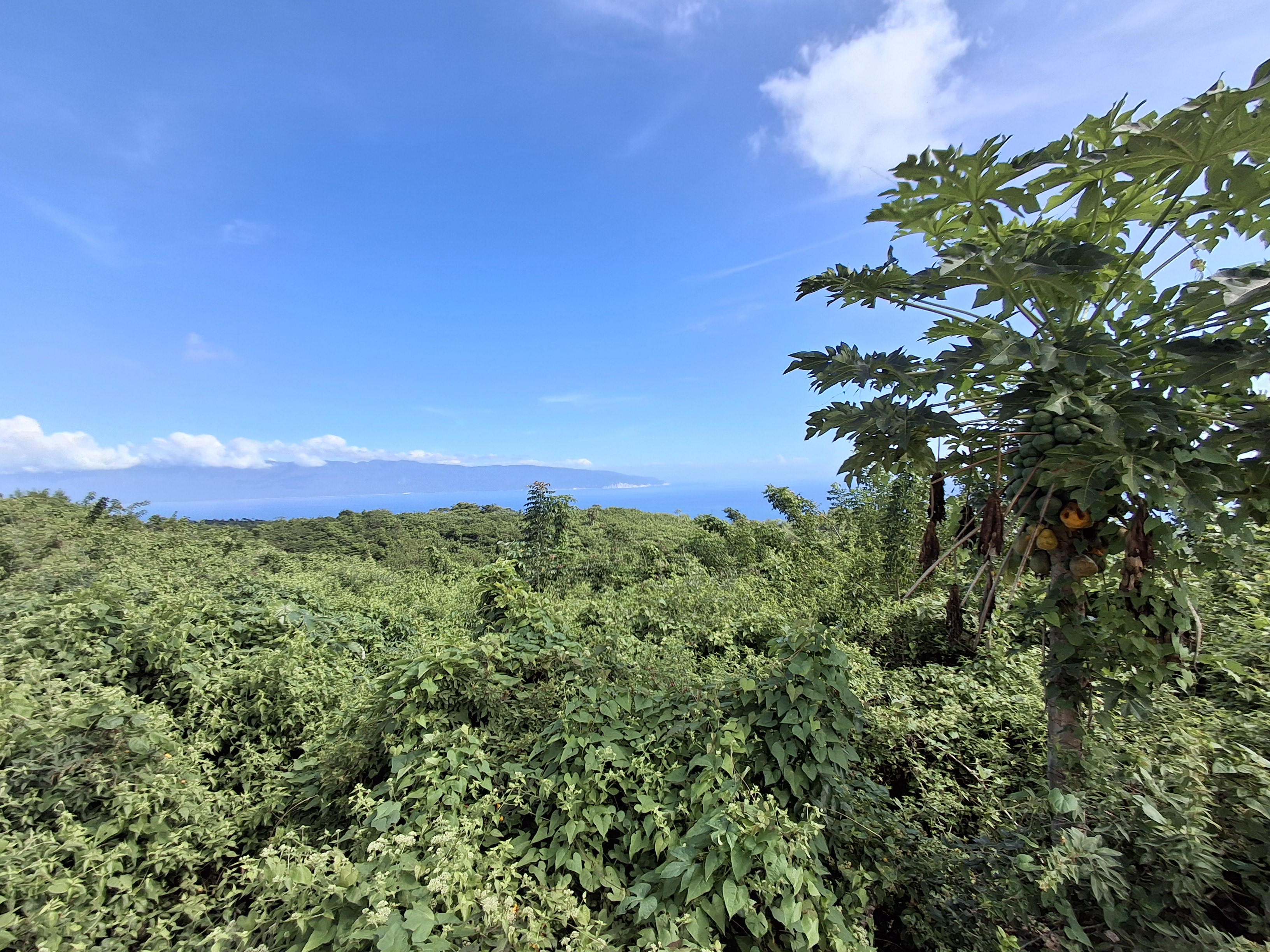 solares y terrenos - Terreno de 506.13 m² con Vista al Mar en Barahona  2