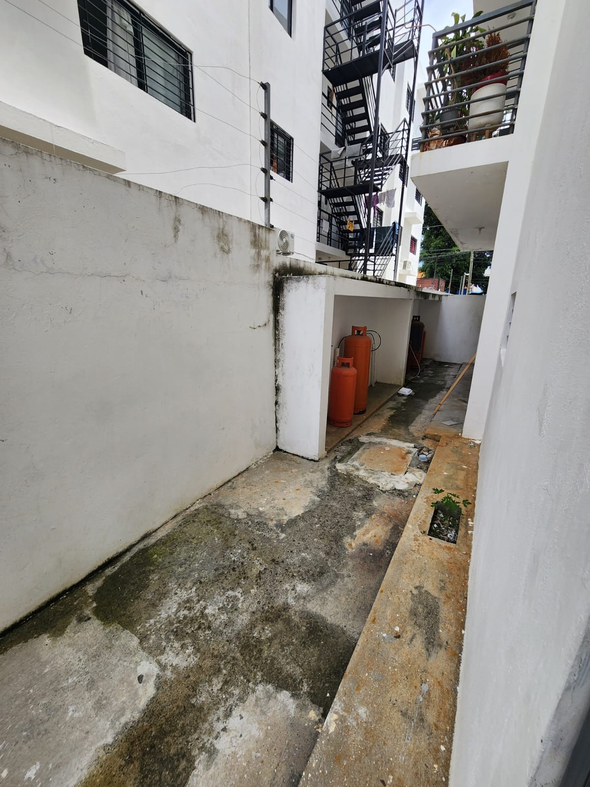 apartamentos - Alquiler primer nivel Llanos de Gurabo  6