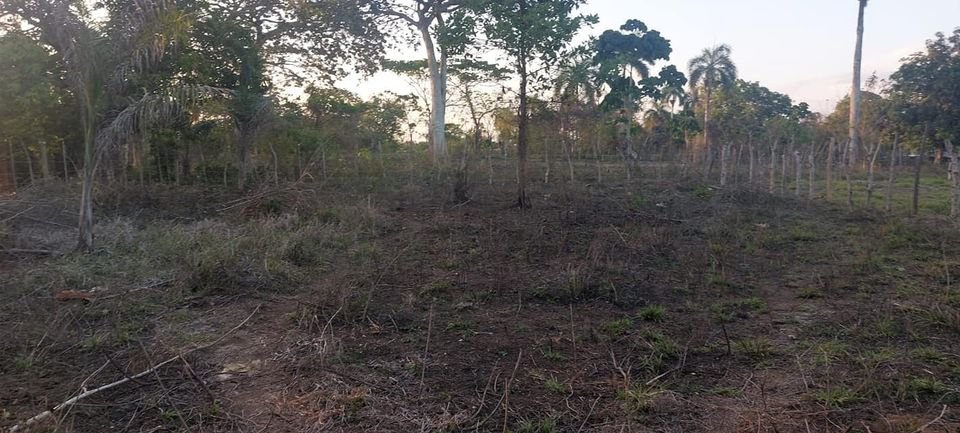 solares y terrenos - Terreno 3