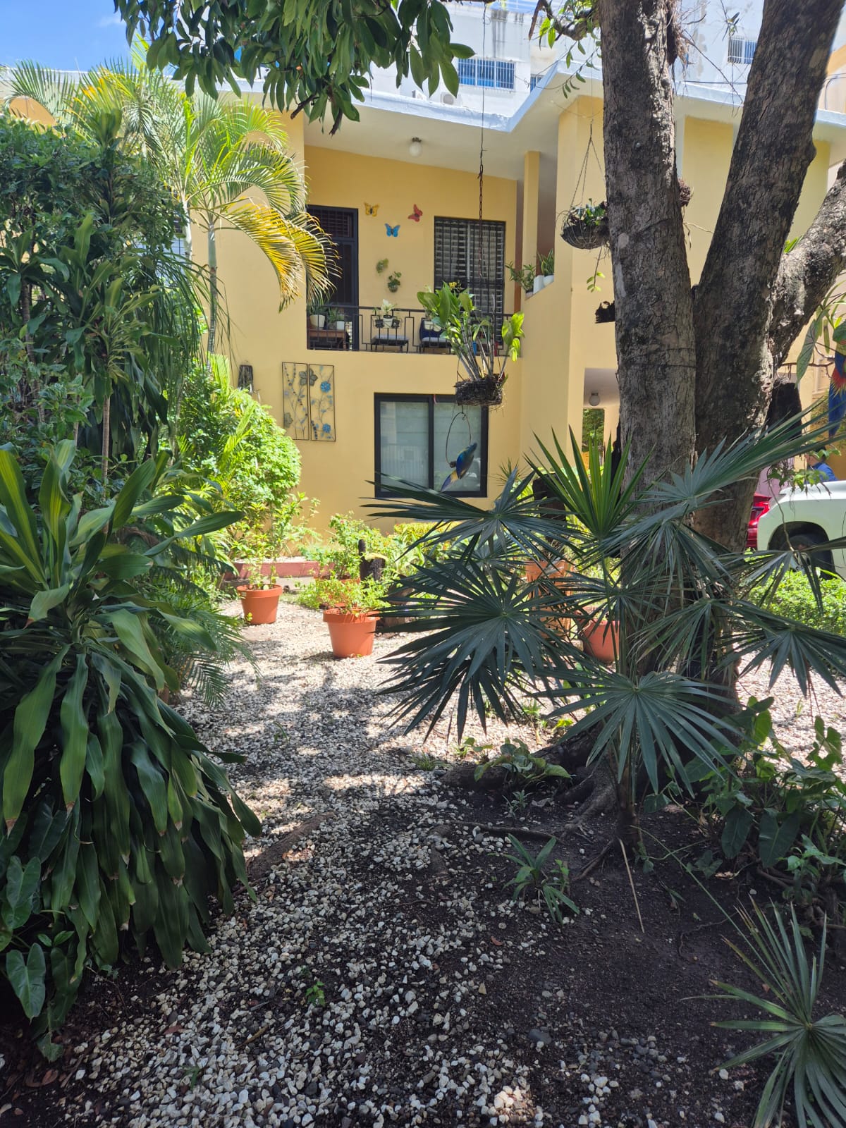 casas - Casa en Alquiler – Bella Vista, Av. Rómulo Betanco 2