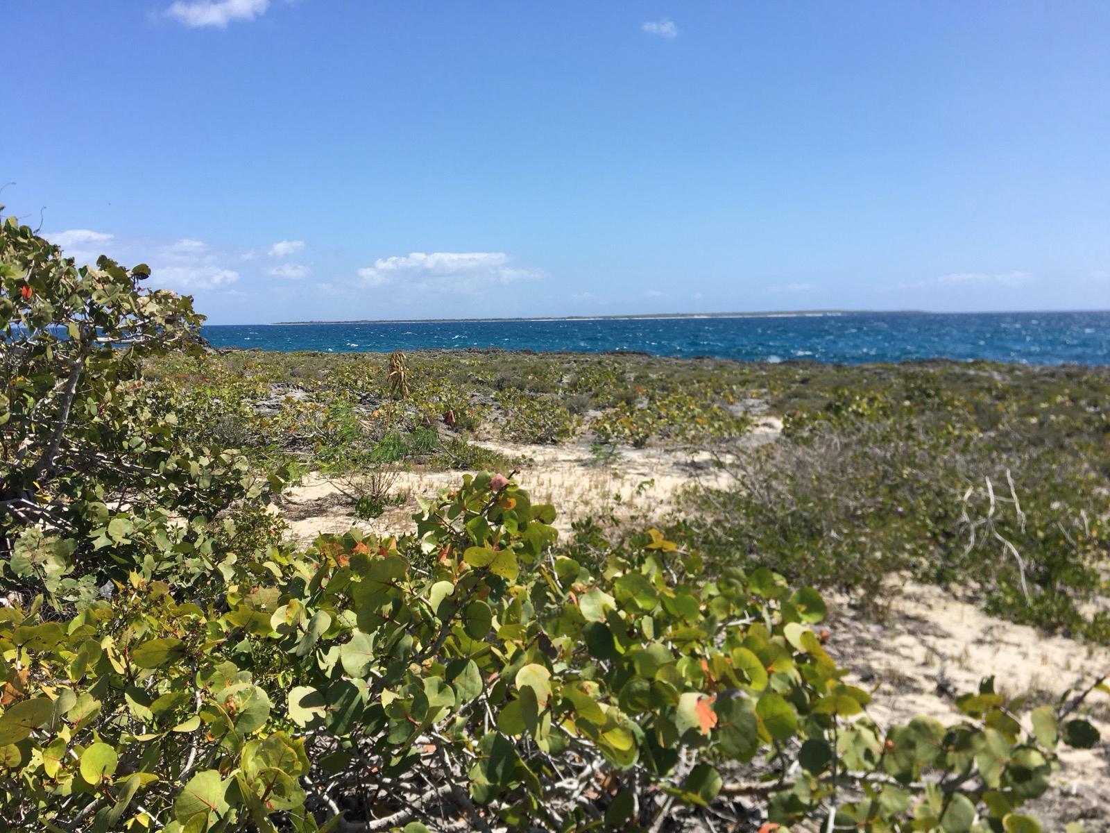 solares y terrenos - Solar en la Romana Frente a Isla Catalina 0