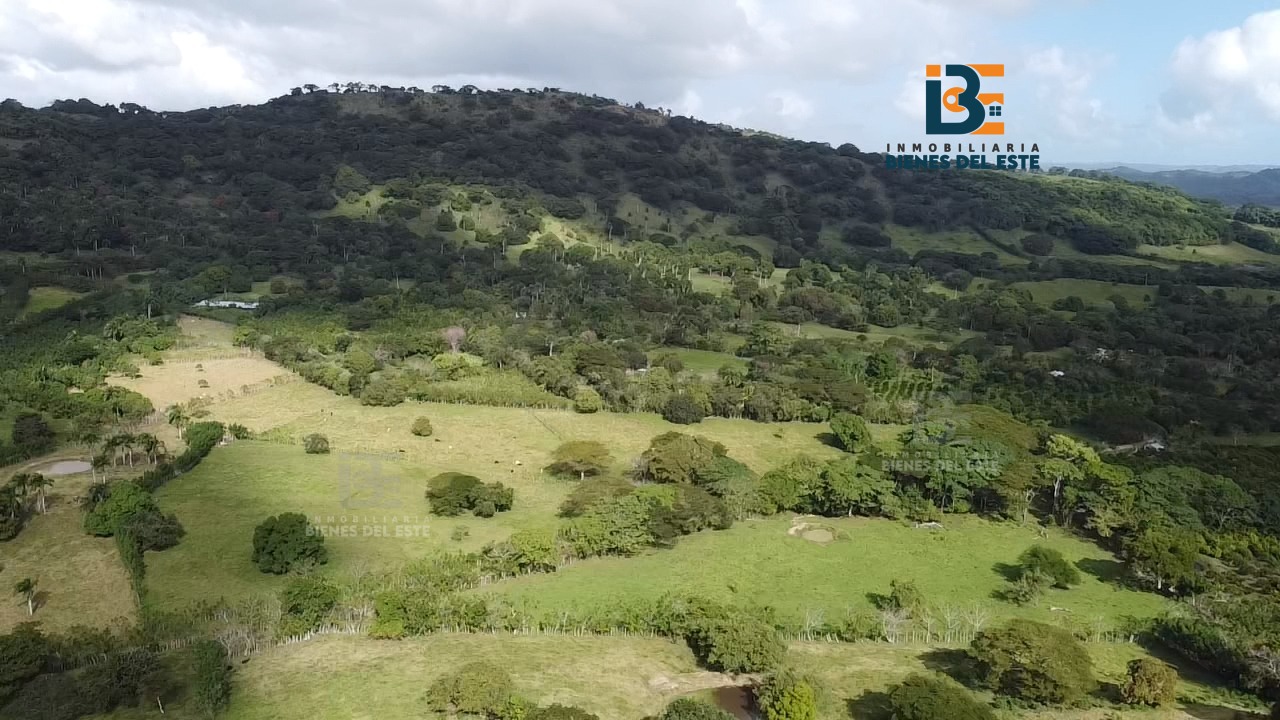 solares y terrenos - 🔴VENDO de Oportunidad 32 Tareas de Tierra. 4