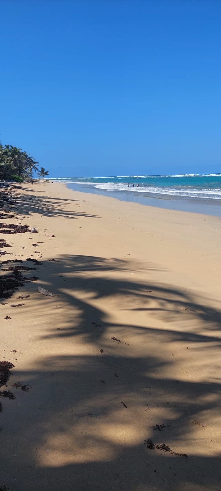 solares y terrenos - venta de playa en la Vacama  0