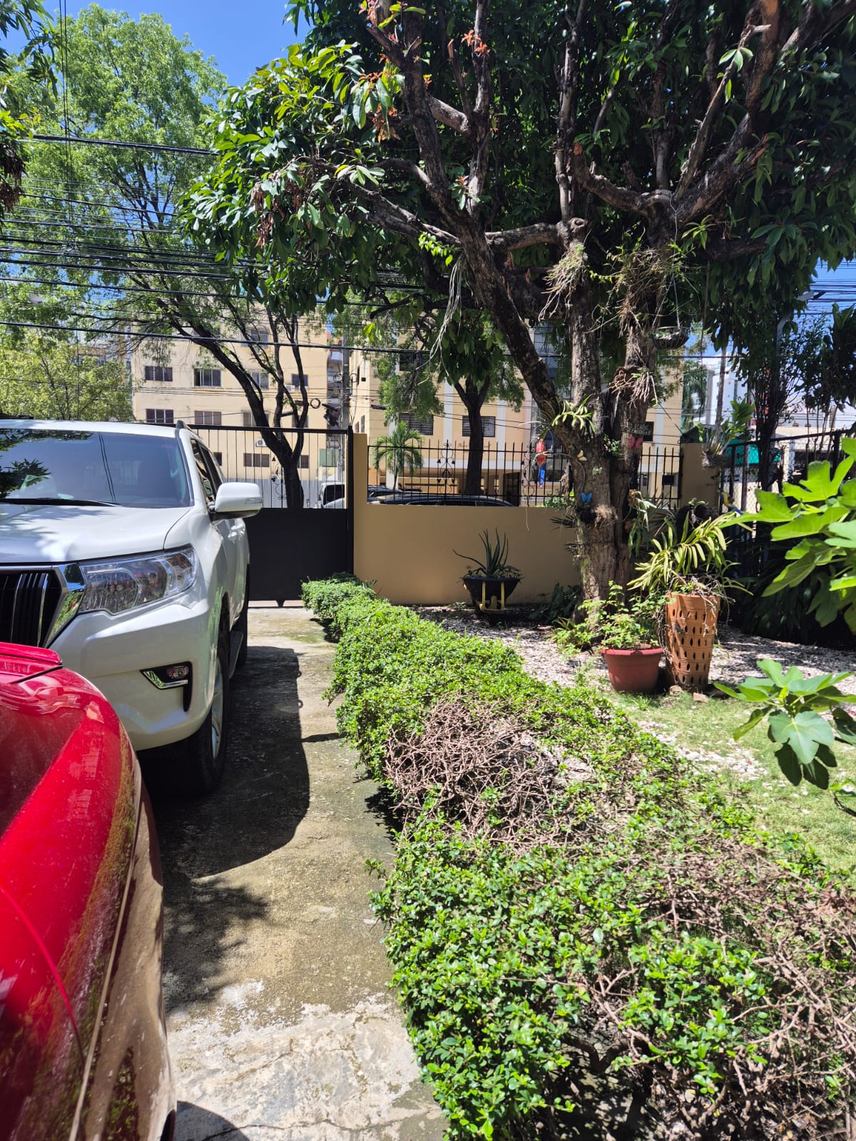 casas - Casa en Alquiler – Bella Vista, Av. Rómulo Betanco 3