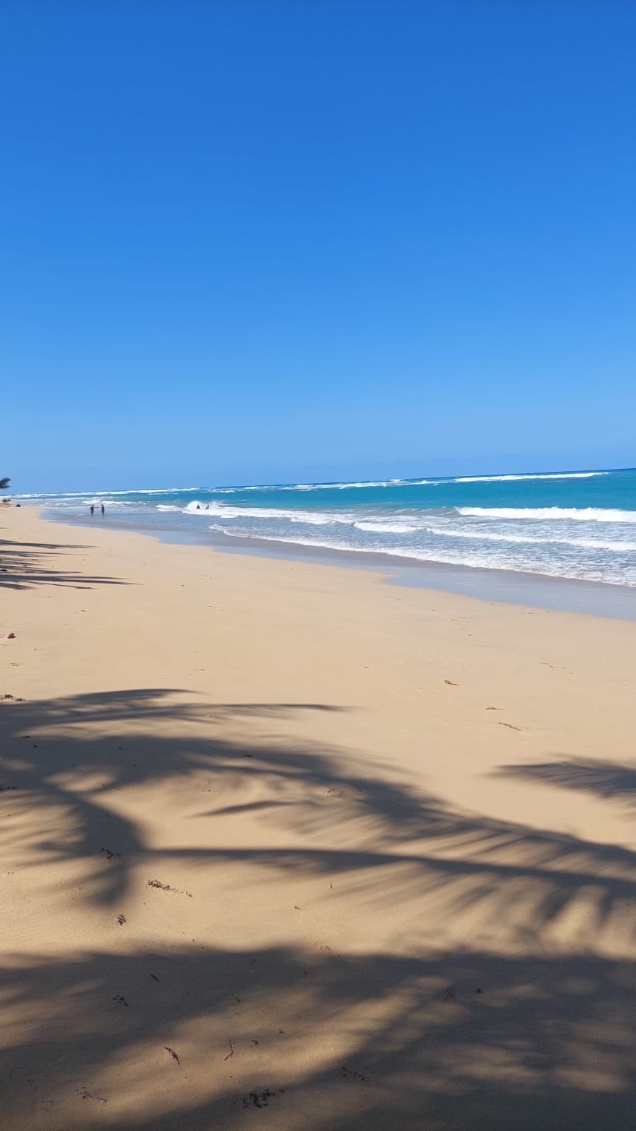 solares y terrenos - venta de playa en la Vacama  1