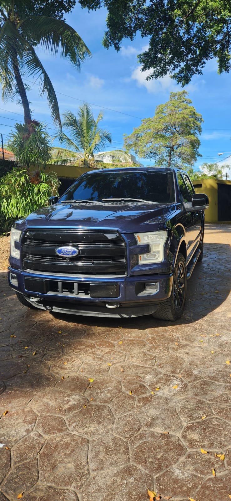 jeepetas y camionetas - De oportunidad vendo Ford F150 1