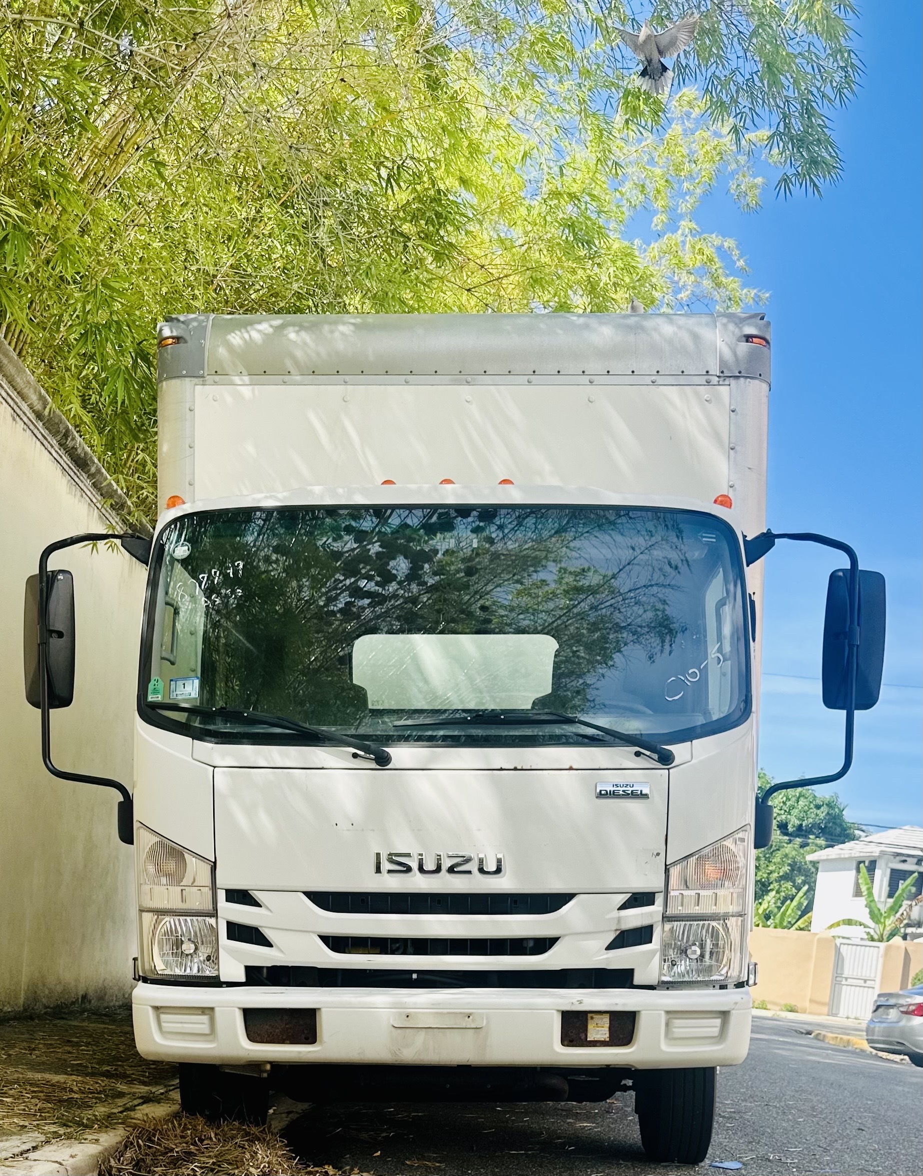 camiones y vehiculos pesados - Camion Isuzu nqr diesel 2019  1