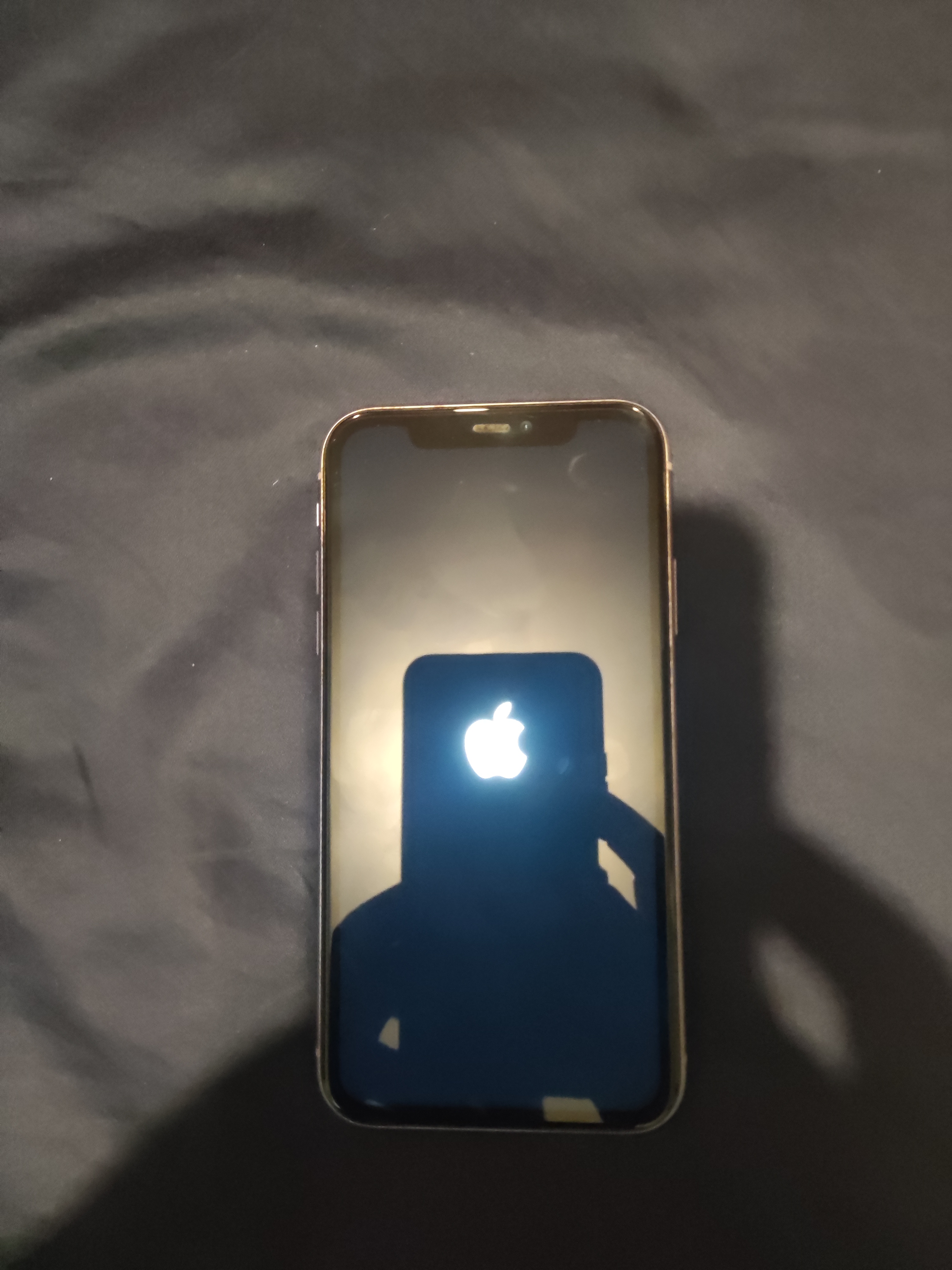 celulares y tabletas - iPhone 11 Normal Morado 256GB Chip Físico y eSIM. 11,790 Negociable. 9