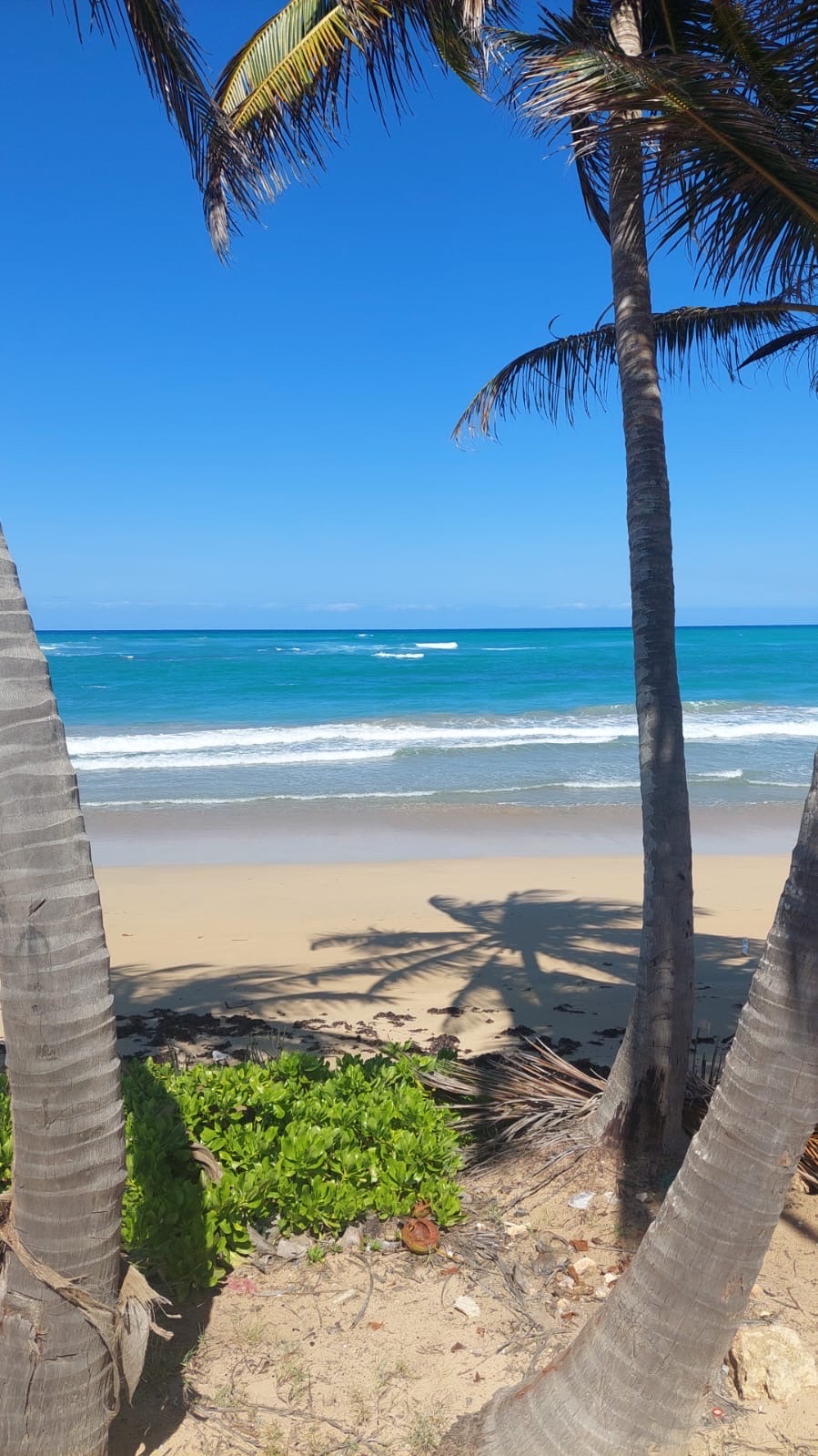 solares y terrenos - venta de playa en la Vacama  2