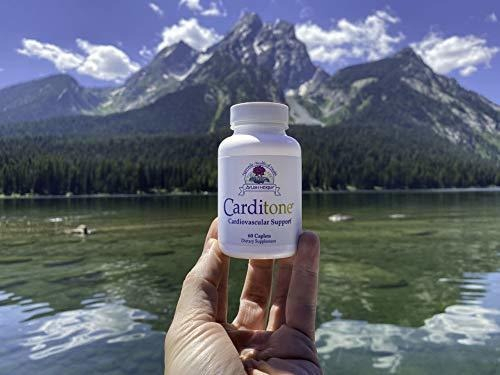Salud y Equipamiento Médico - Ayush Herbs Carditone, Suplemento Herbal De Apoyo Cardiovascular 3