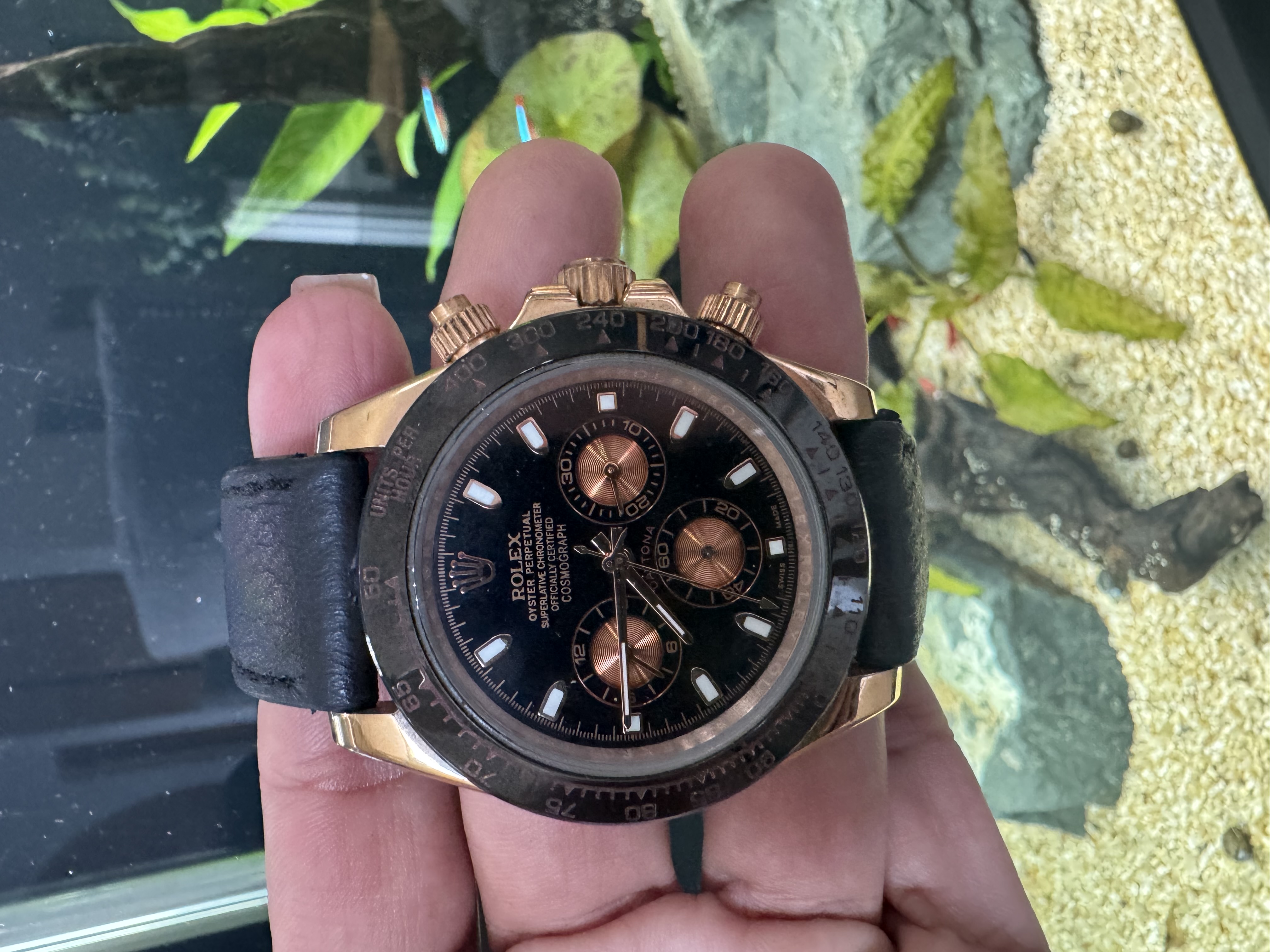 joyas, relojes y accesorios - Reloj de Imitación Rolex Daytona – Elegante y  1