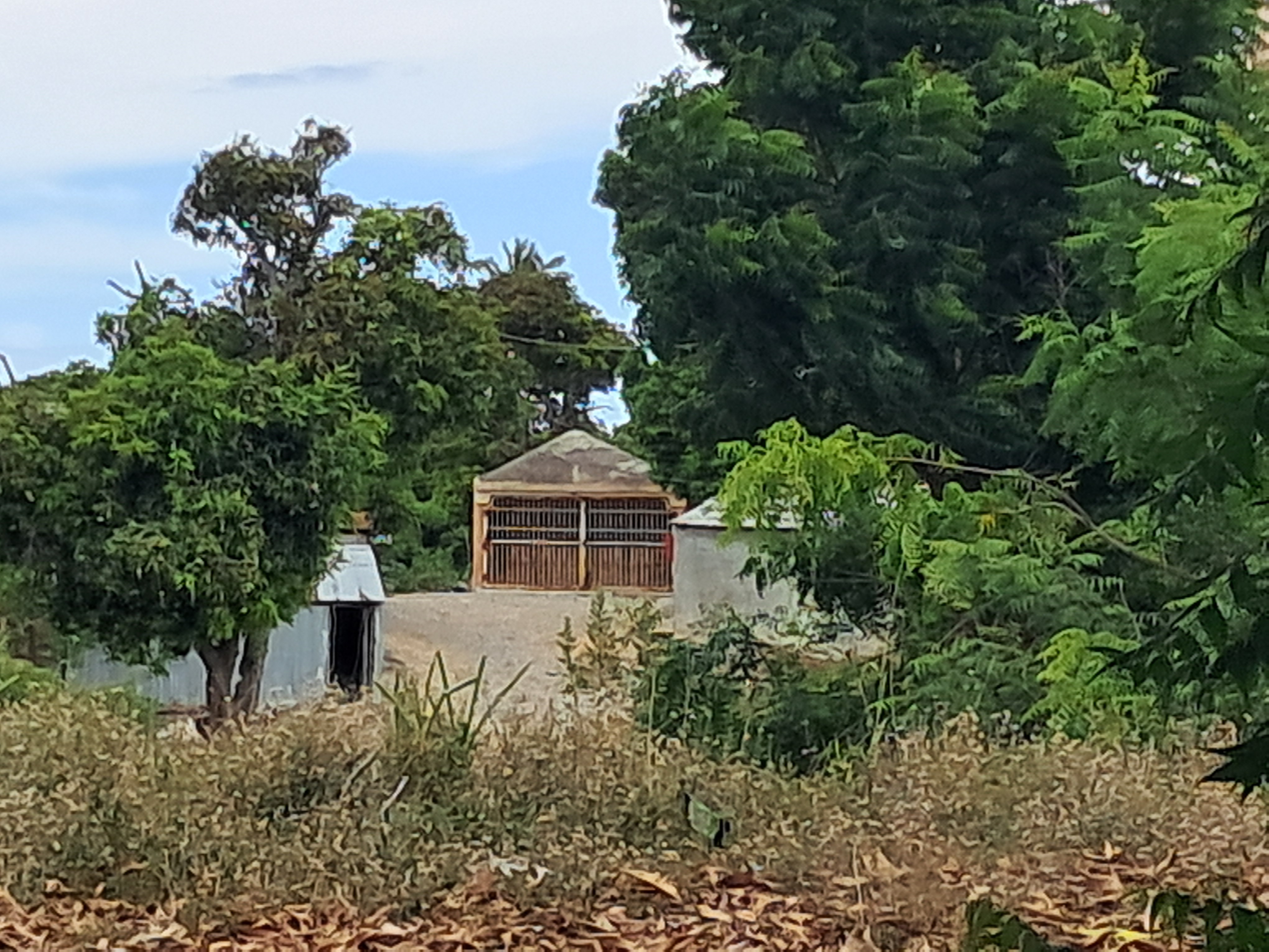 solares y terrenos - APROVECHA EN MATANZAS BANI 55 TAREAS . 0