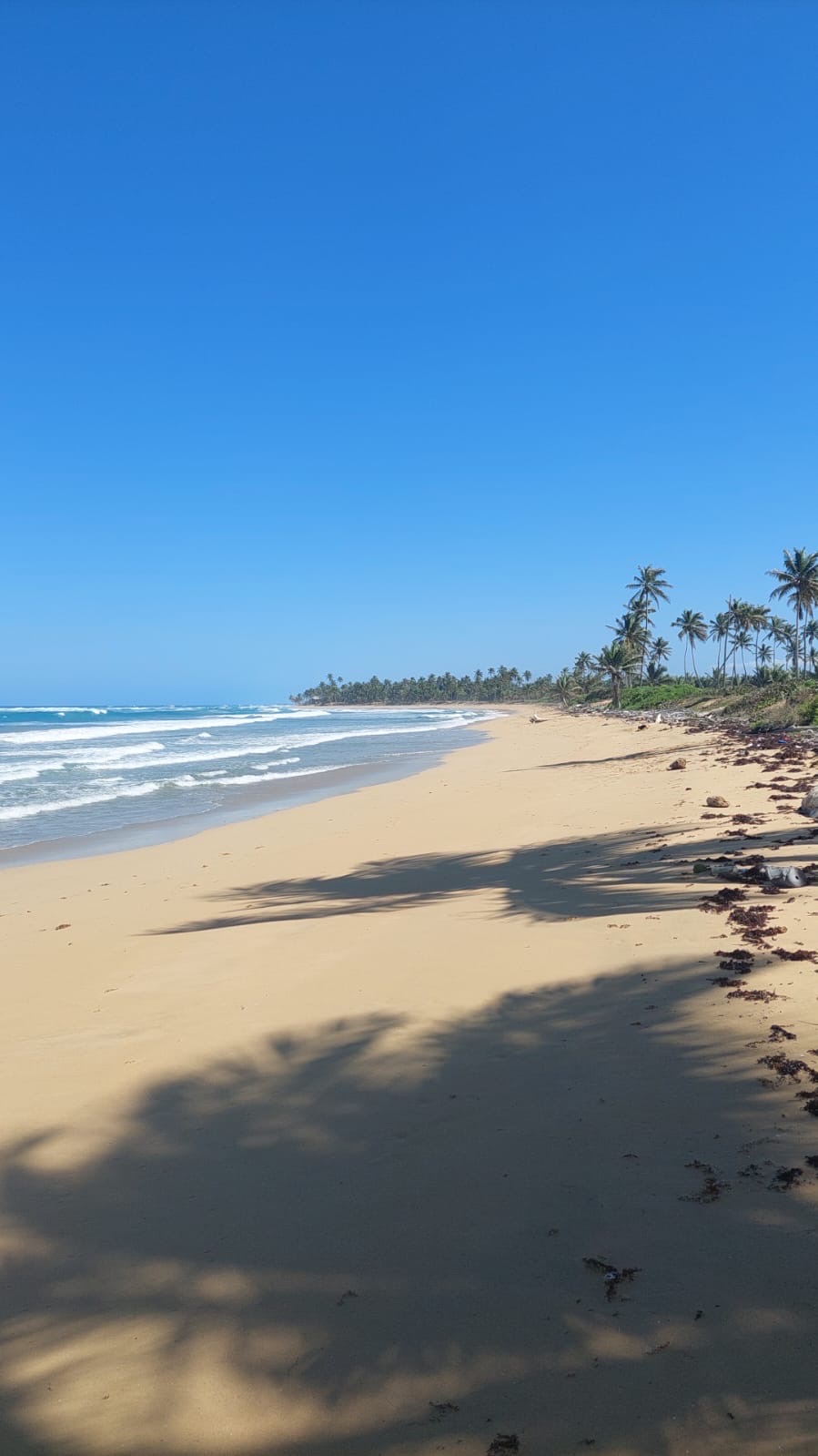 solares y terrenos - venta de playa en la Vacama  3