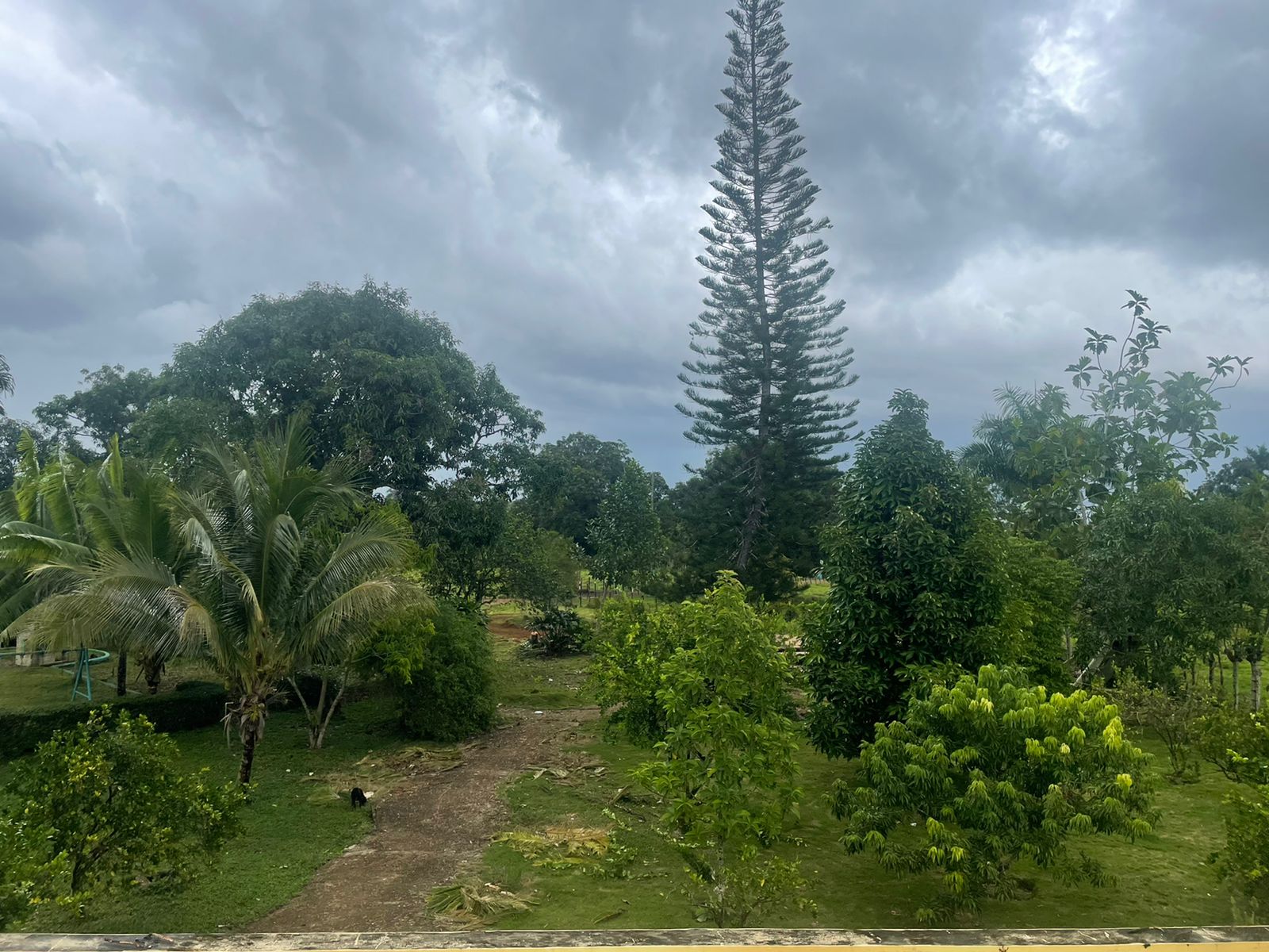 solares y terrenos - Finca Ganadera en Bayaguana de 855 tareas 