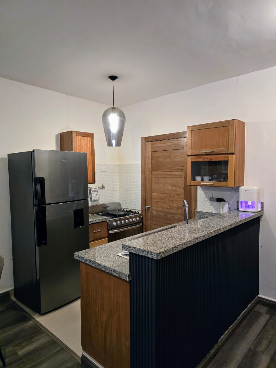 apartamentos - ALQUILER APARTAMENTO LUJO EN FABIO MOTA DE NACO  1