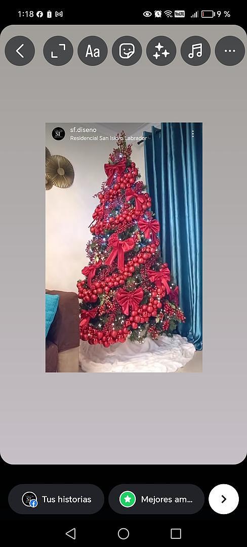 servicios profesionales - Alquiler de Arbol de Navidad  1