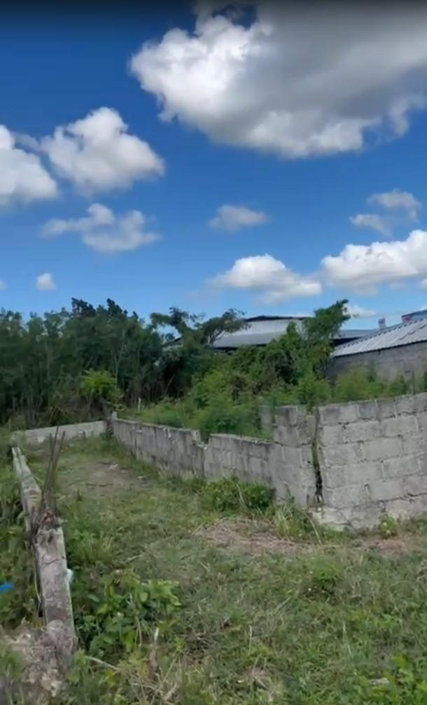 solares y terrenos - Se Alquila AMPLIO solar en Yaguate, 3155 Mt2 3