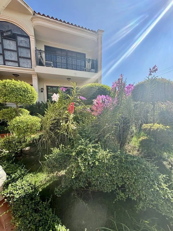 casas - Venta de Casa en Los Pinos 6