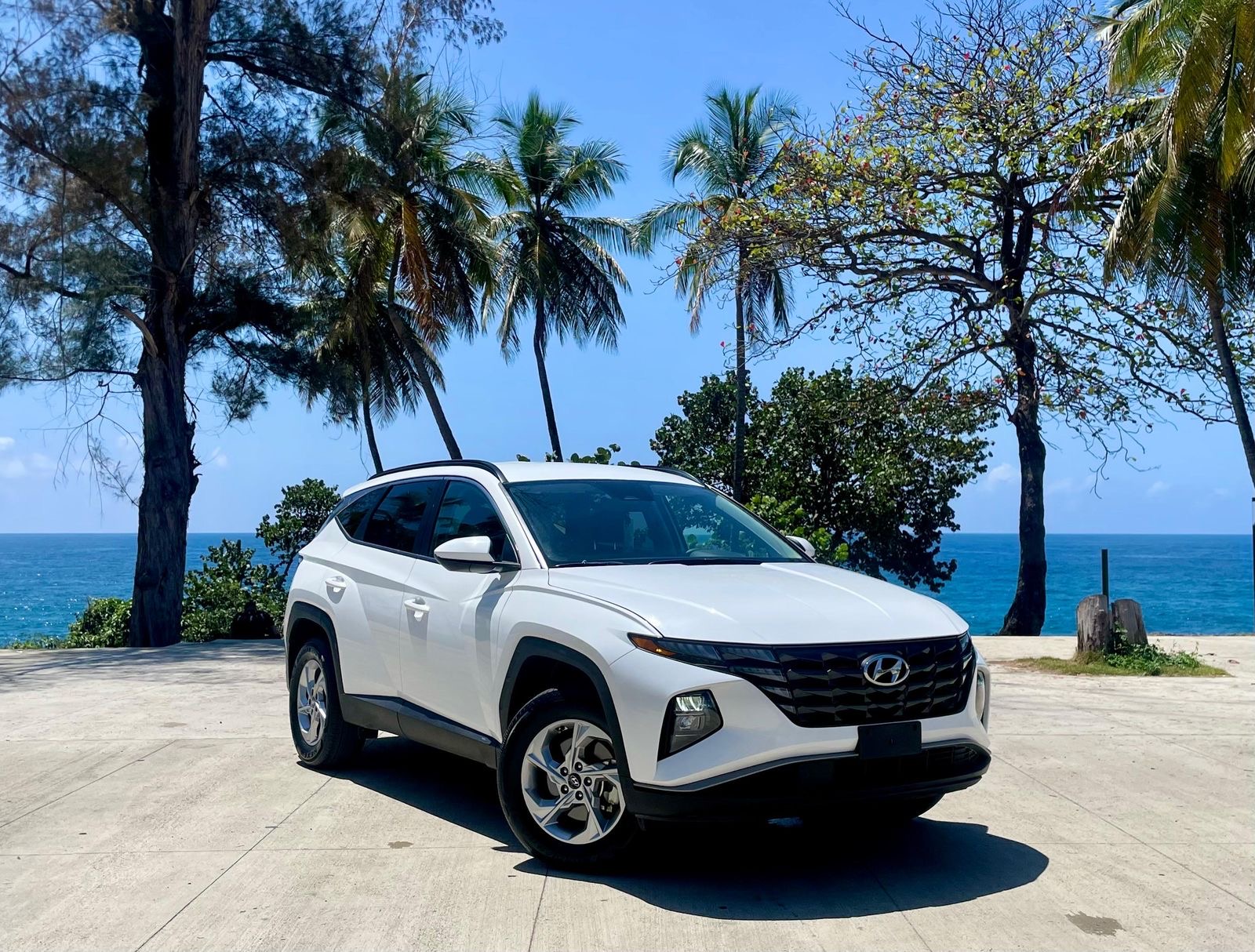 jeepetas y camionetas - Hyundai Tucson Sel 2024 Clean car fax  2