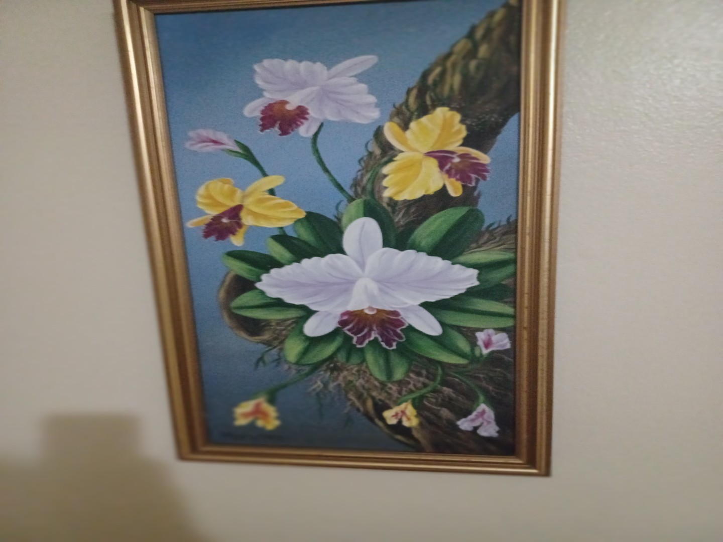 decoración y accesorios - Vendo cuadro de orquideas