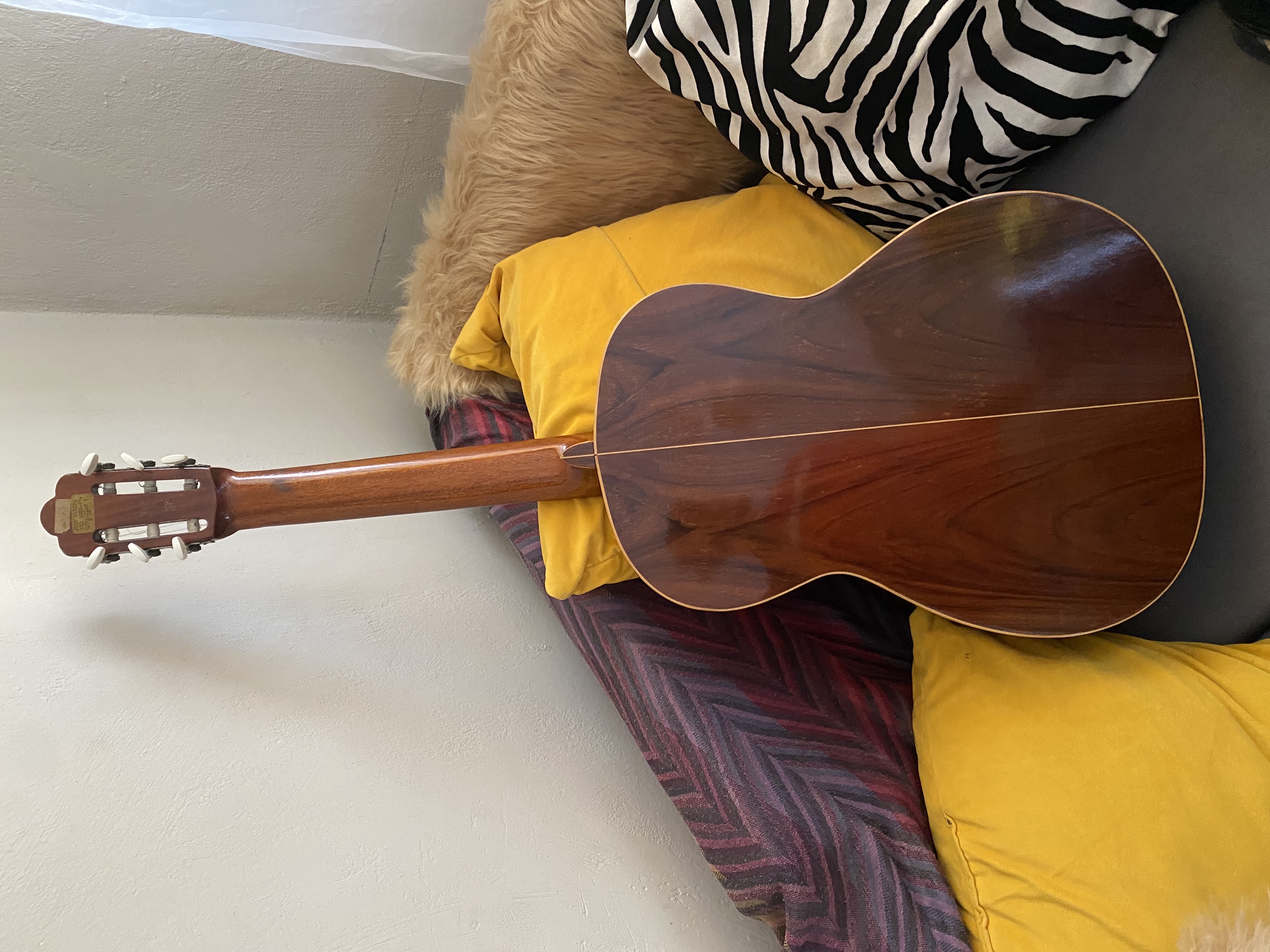 instrumentos musicales - guitarra valenciana  2